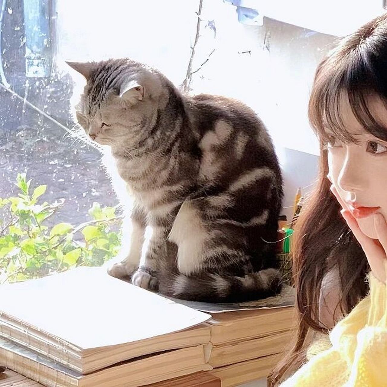 情侣头像 | 抱猫咪系列情头