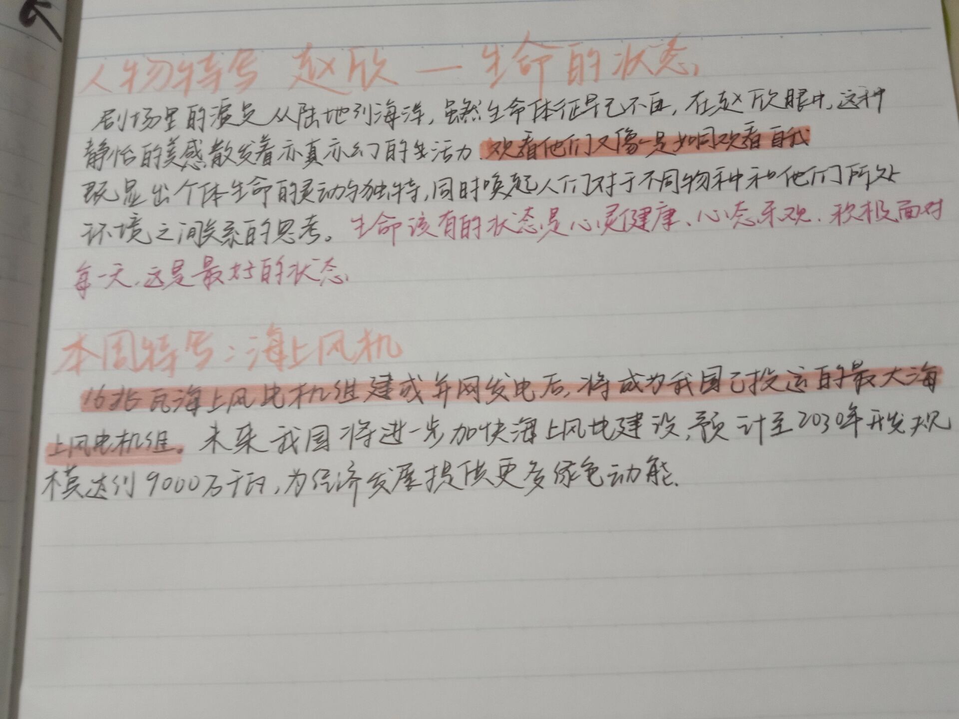 新闻周刊最新一期内容素材(新闻周刊最新一期内容素材摘抄)