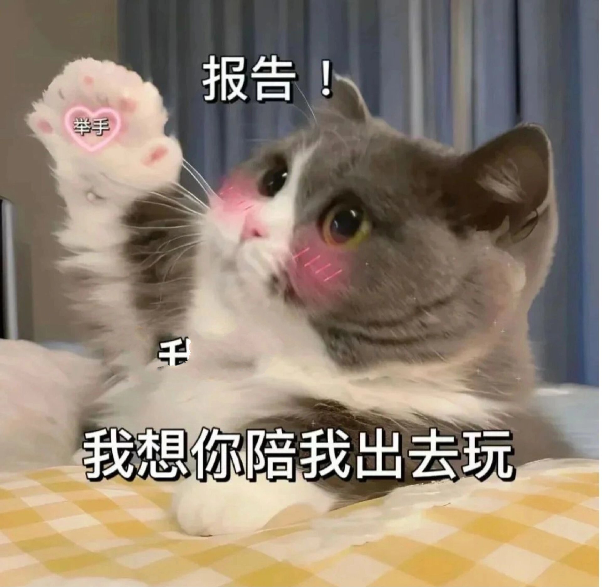 情侣撒娇聊天表情包@轻舞飞扬梦的动态