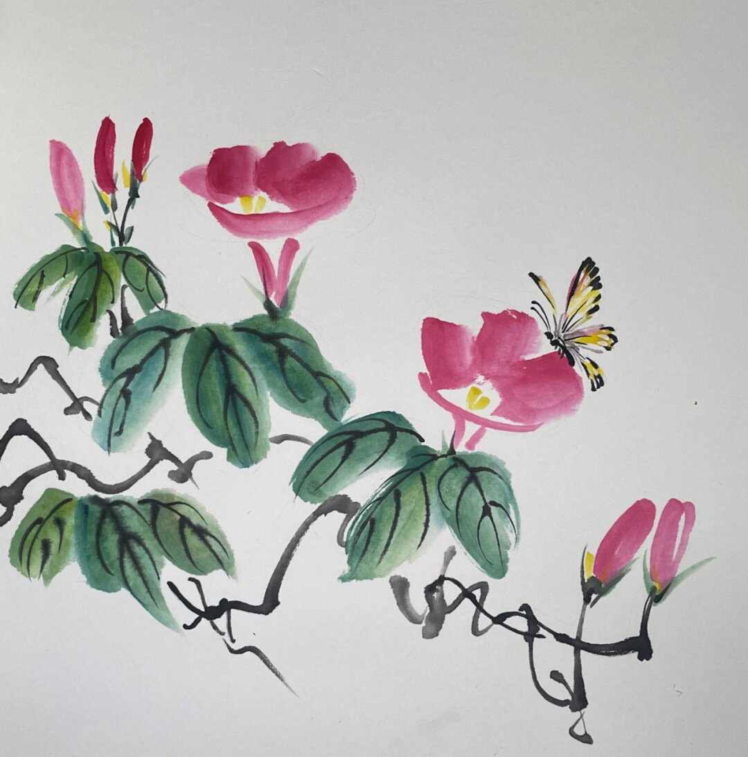 花卉·牵牛花图文教程 水墨画花卉·牵牛花 材料