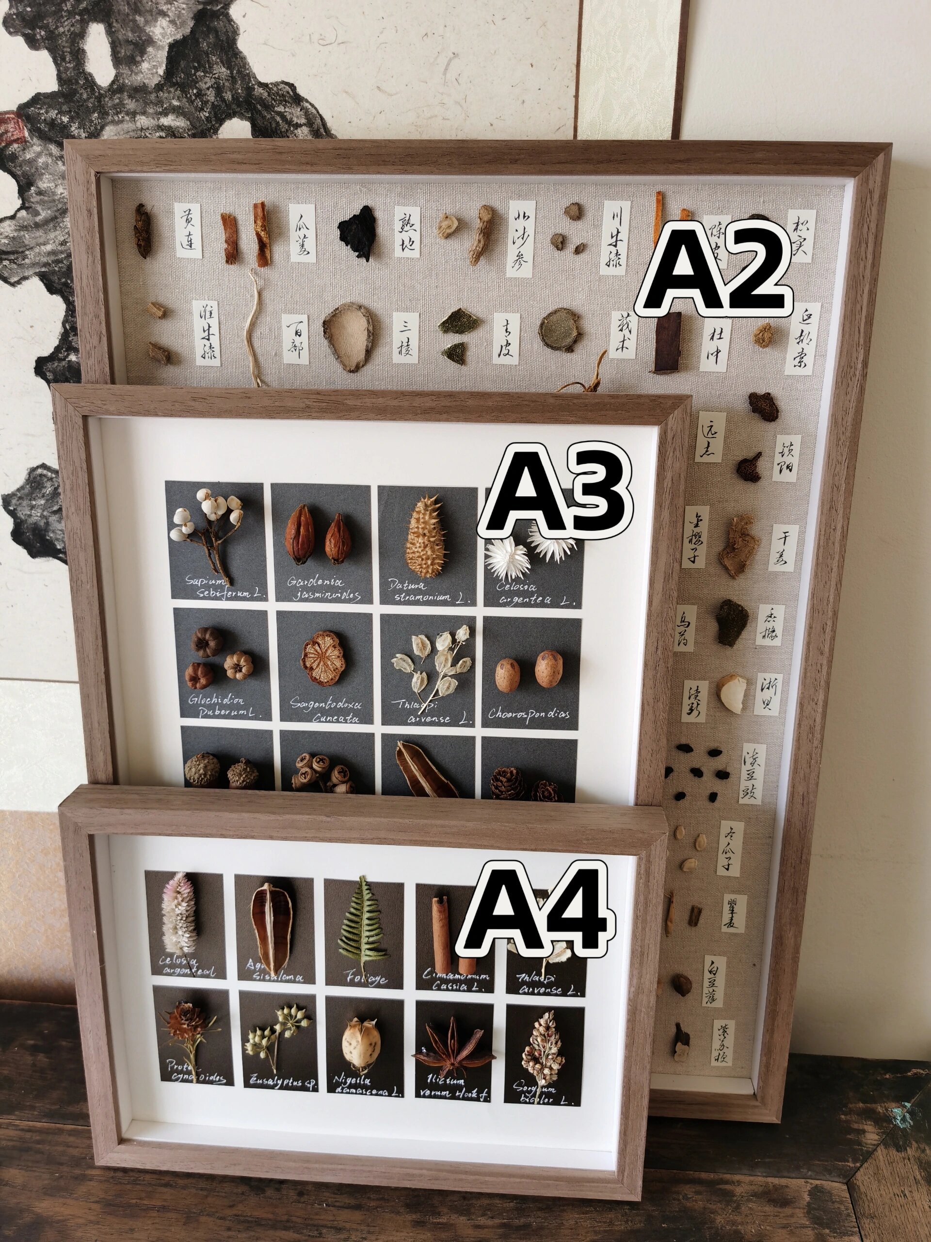 a2尺寸和a3的对比图