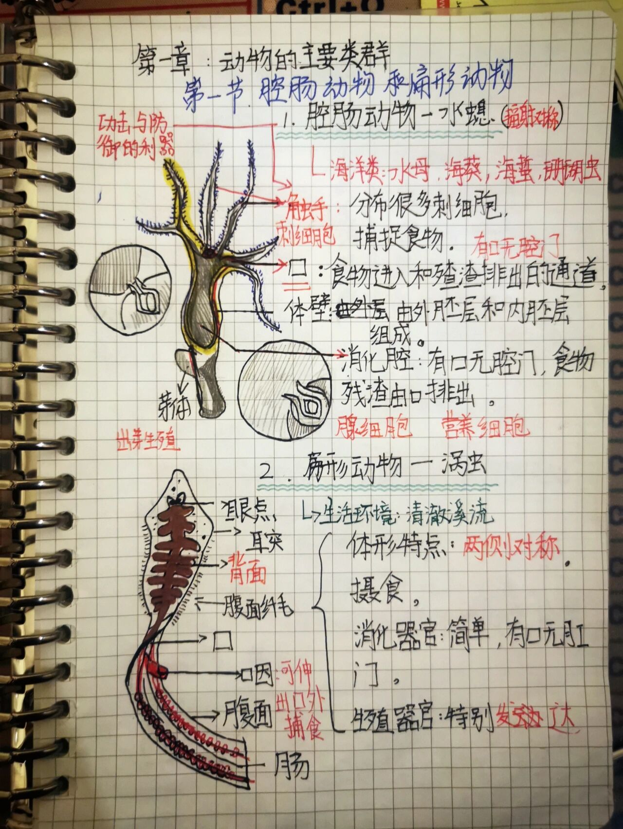 初中生物笔记八年级上册第一章
