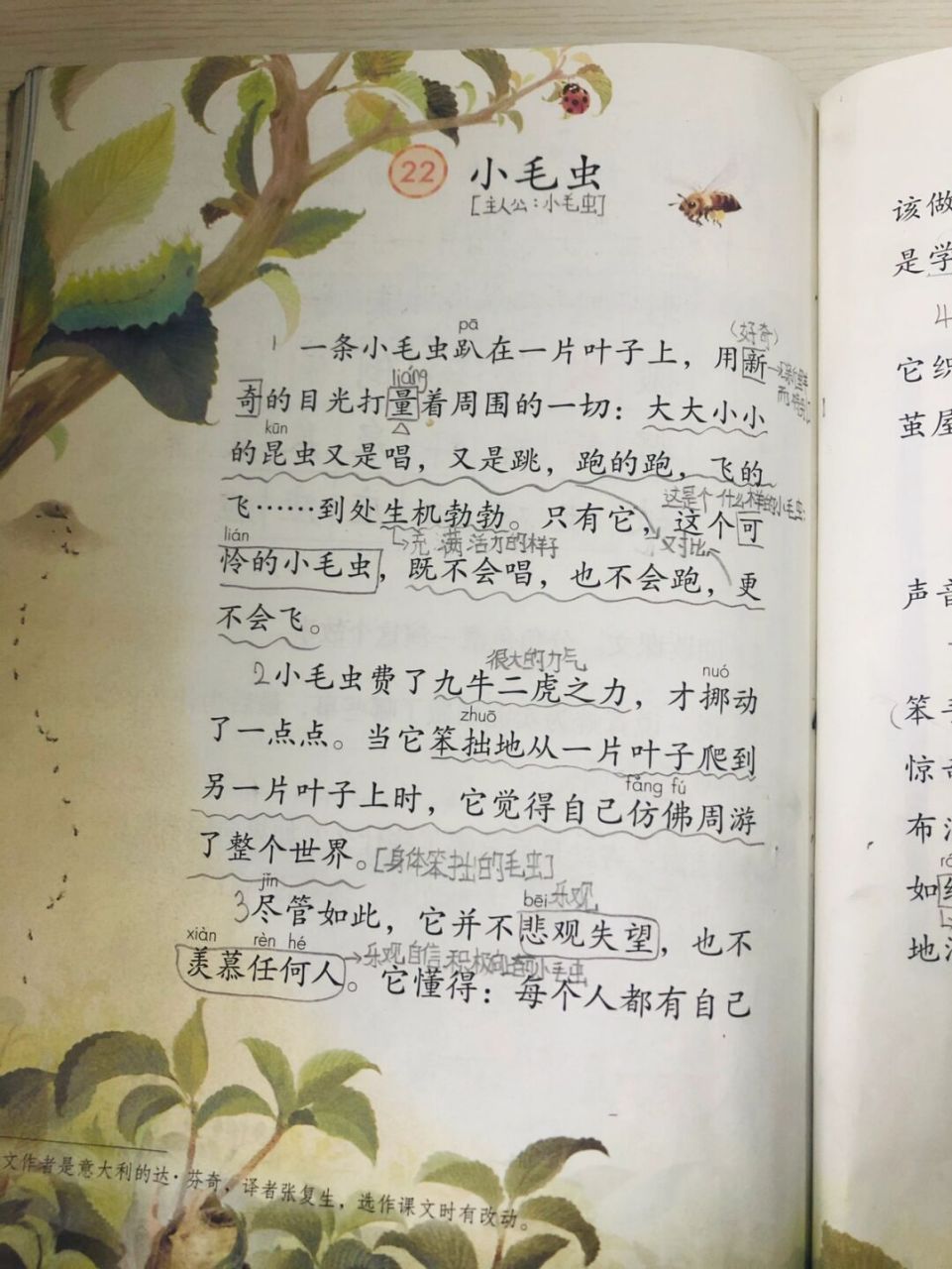 二下语文《小毛虫》学生笔记 #二年级语文# #二年级语文下册# #语文