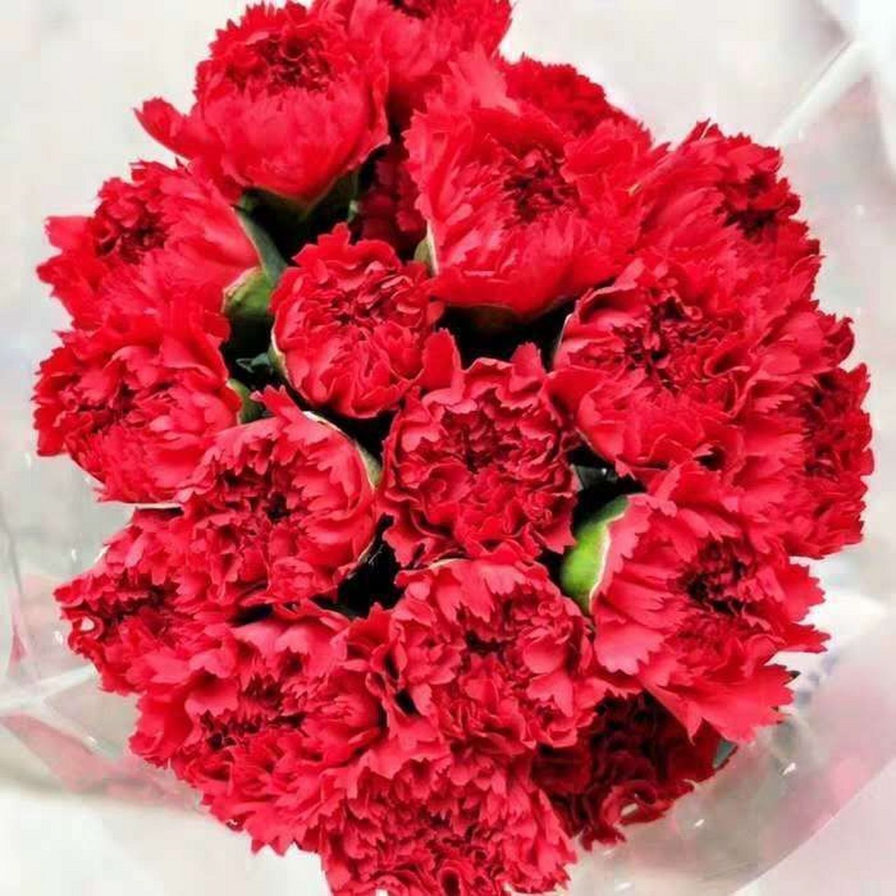 红色康乃馨多头康乃馨20支,11.8入!  水培鲜花直发粉钻diy混搭花!