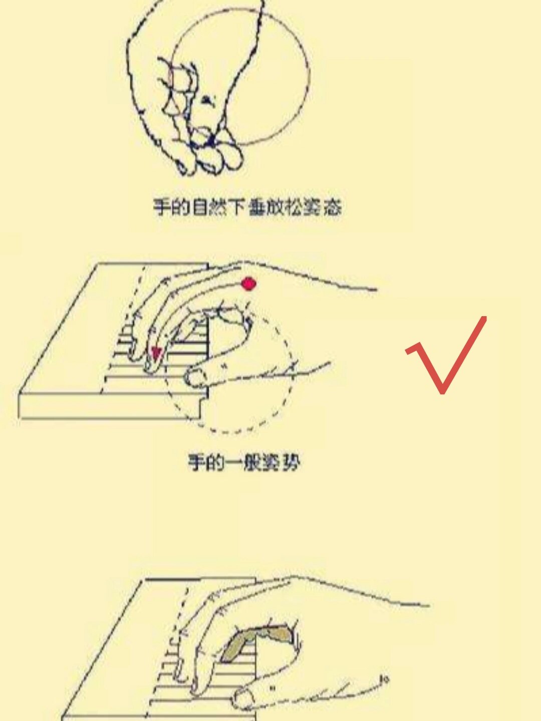 初学左手弹琴指法图图片