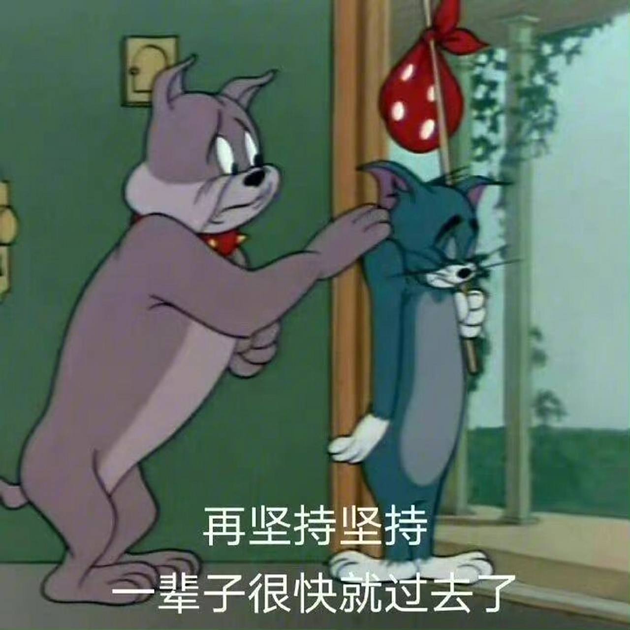 猫和老鼠表情包(第1弹) 咱小时候的最爱,嘻嘻.网图哈,侵删哈.