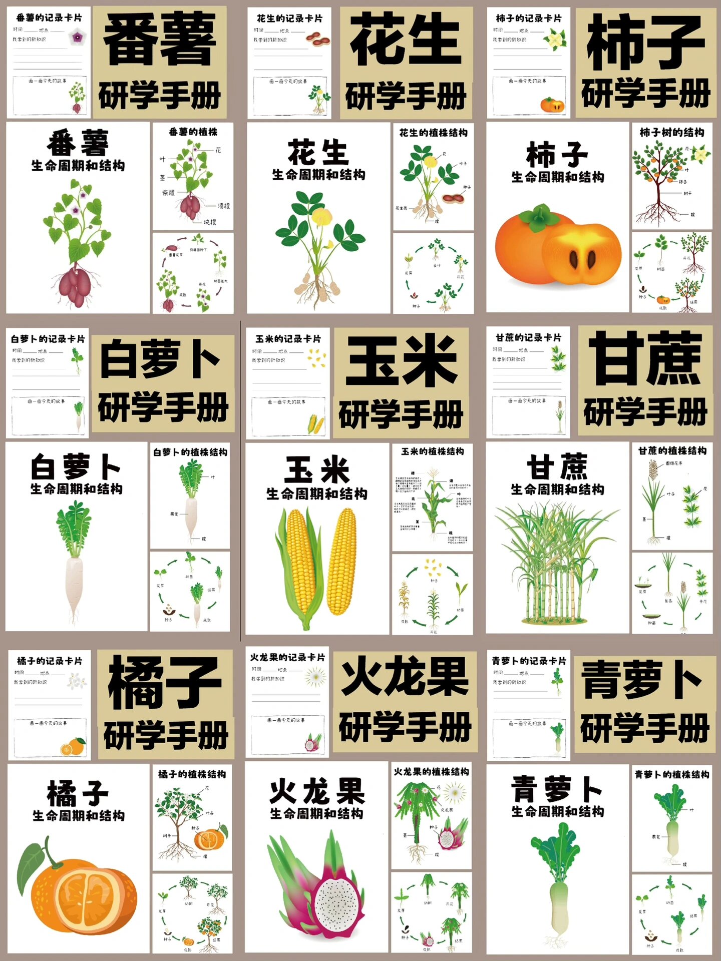 秋季研学手册合集pdf电子版