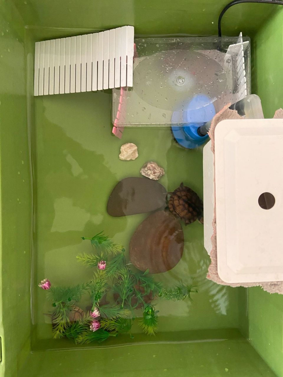 自制乌龟晒台,变废为宝,便宜又好用 换了个新的龟缸,缺晒台,网上的