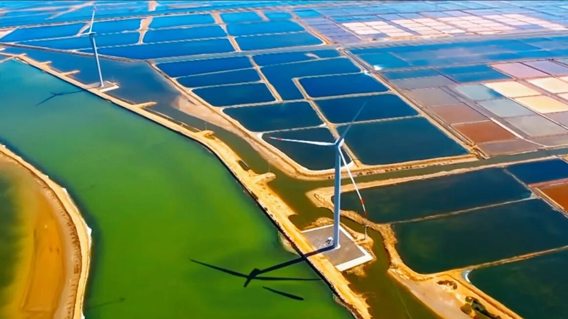 滨州有个世界三大贝岛之一的贝壳堤岛