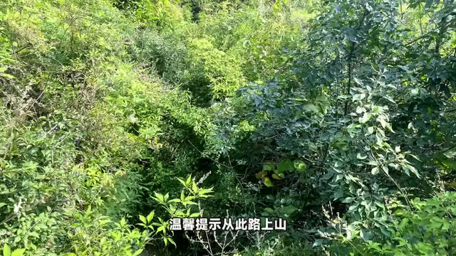 荥阳马头山图片