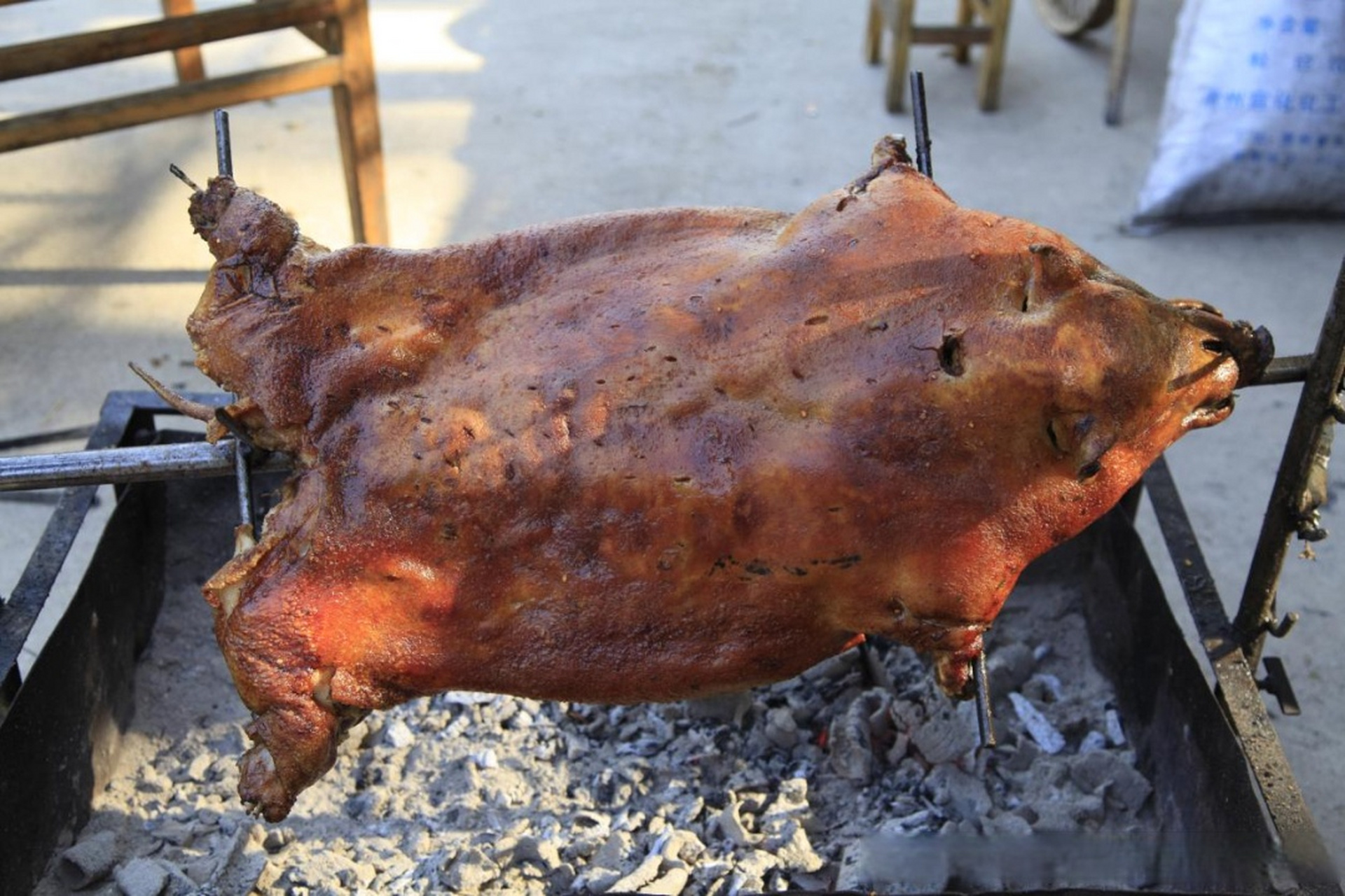 明光小耳朵猪体型小,肉质紧实.