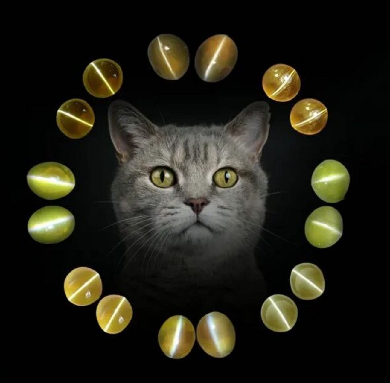 稀少而又没存在感的贵重宝石——金绿猫眼   「金绿猫眼」是一种历史