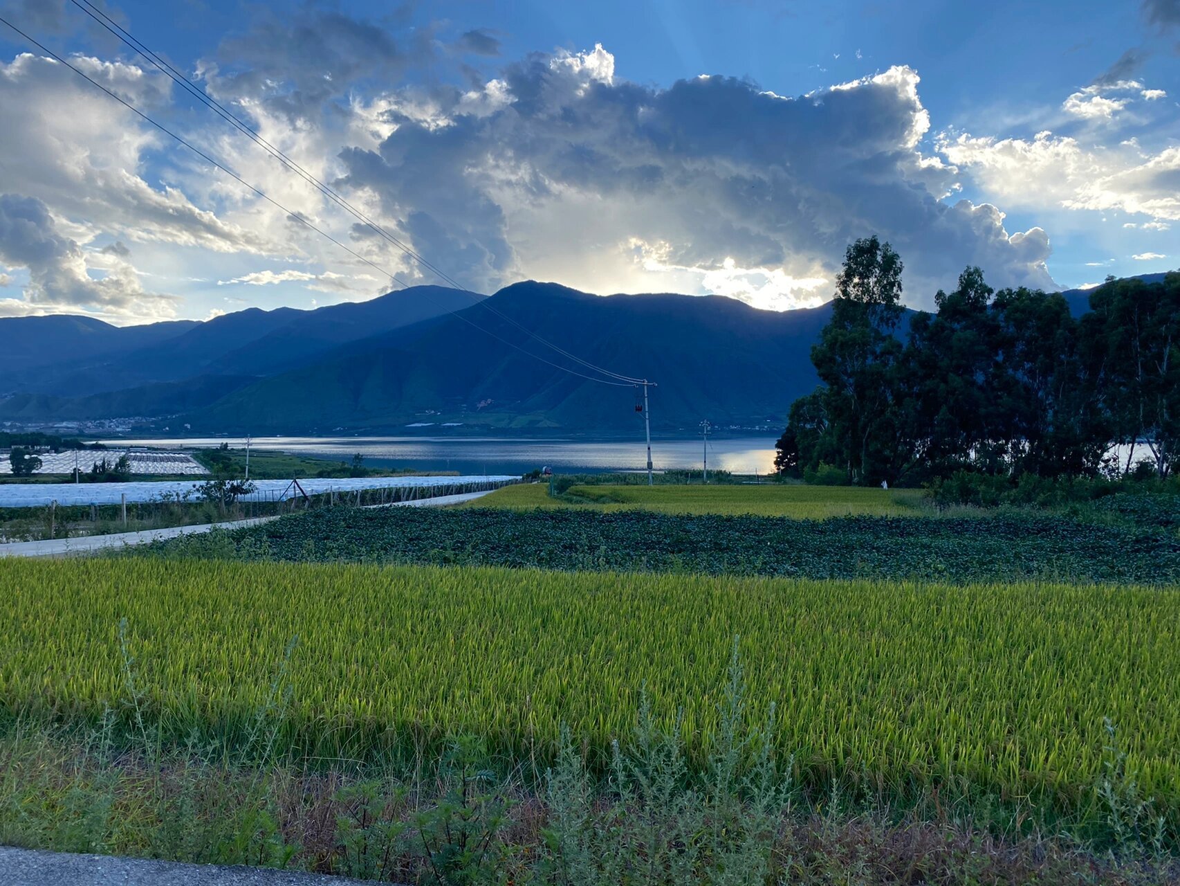 没有来过丽江下辖的永胜县,对永胜印象最深刻的是这里有个湖叫程海,它