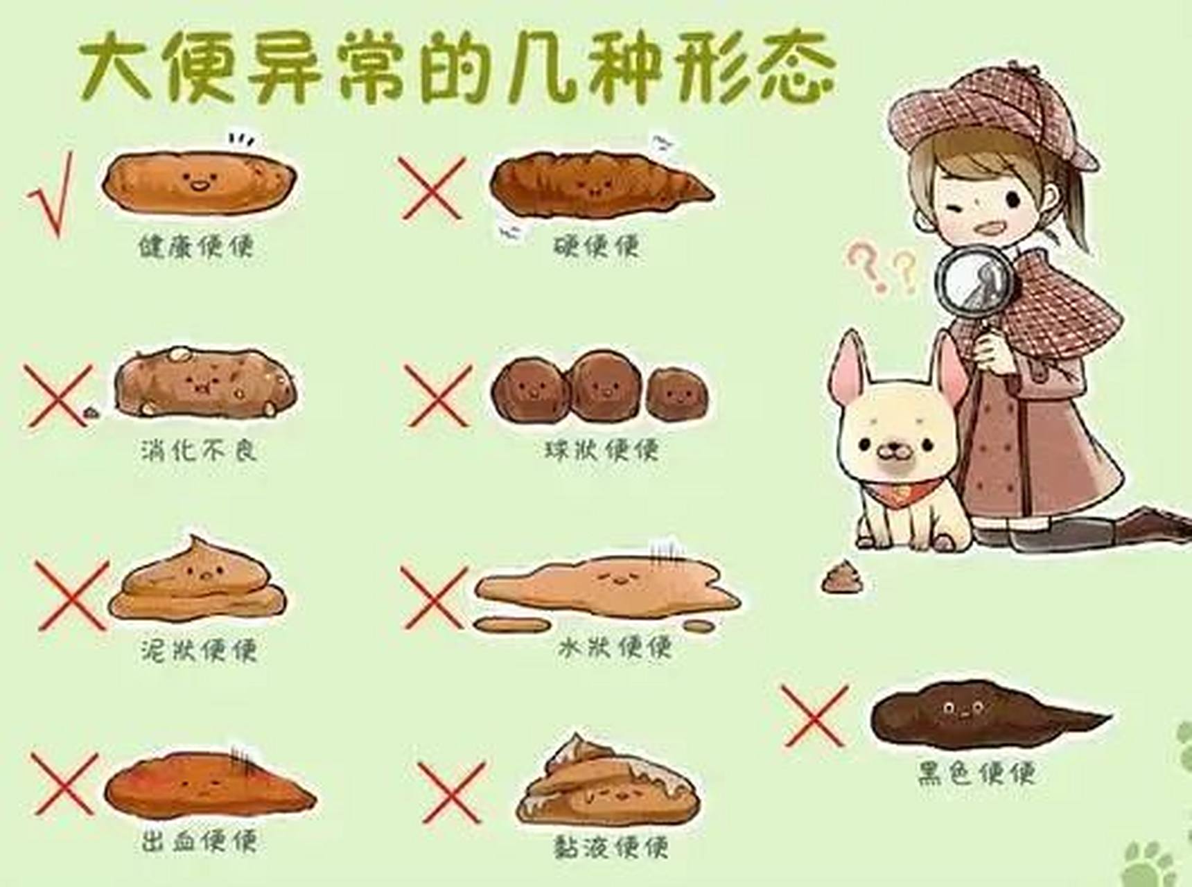 杭州医博肛泰医院:大便不成形有哪些原因 大便是我们的肠道排泄物