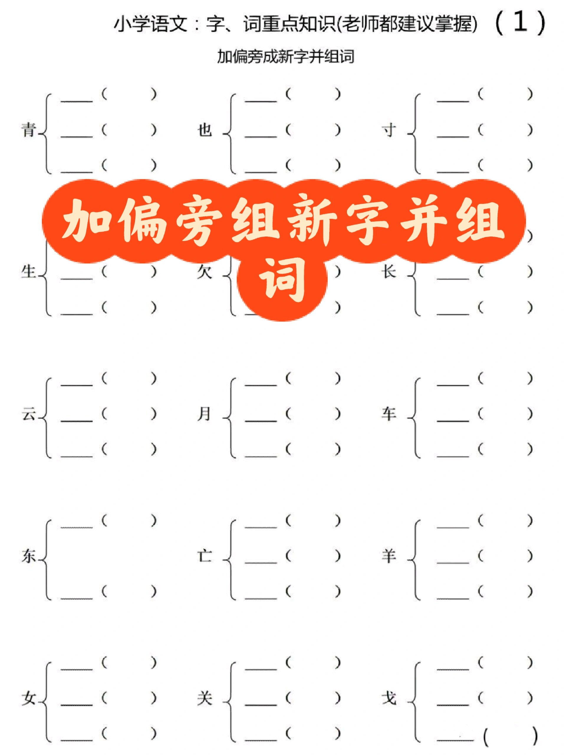 加偏旁组新字并组词🔥