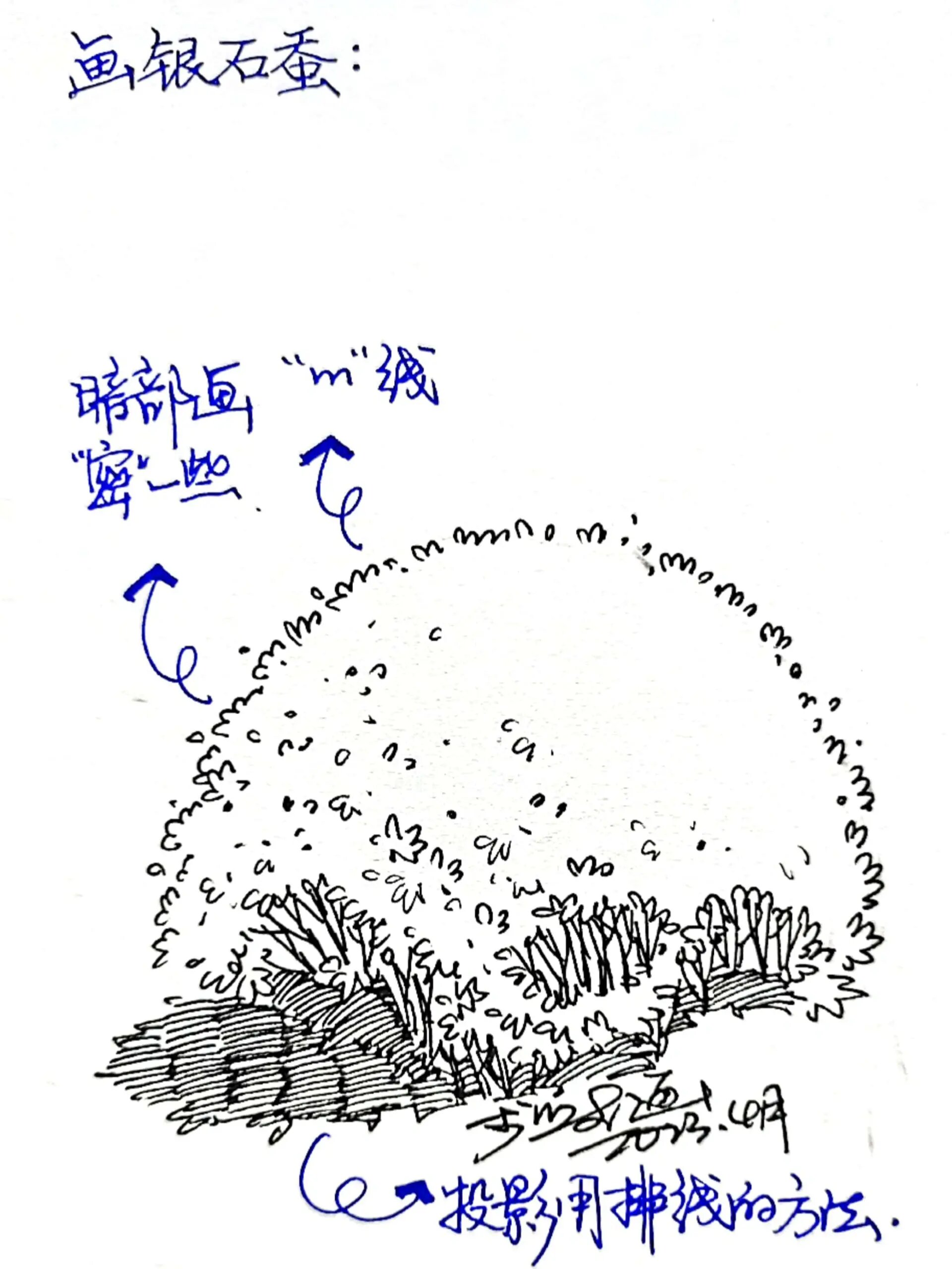 速写‖植物