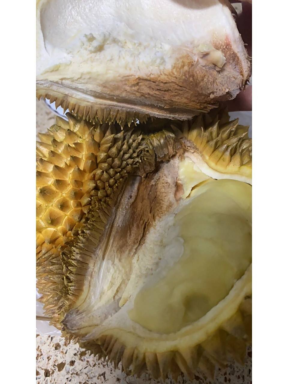 巴掌榴莲烂果 水果店买的 但是发这个图给老板说了 老板非说没有坏 是