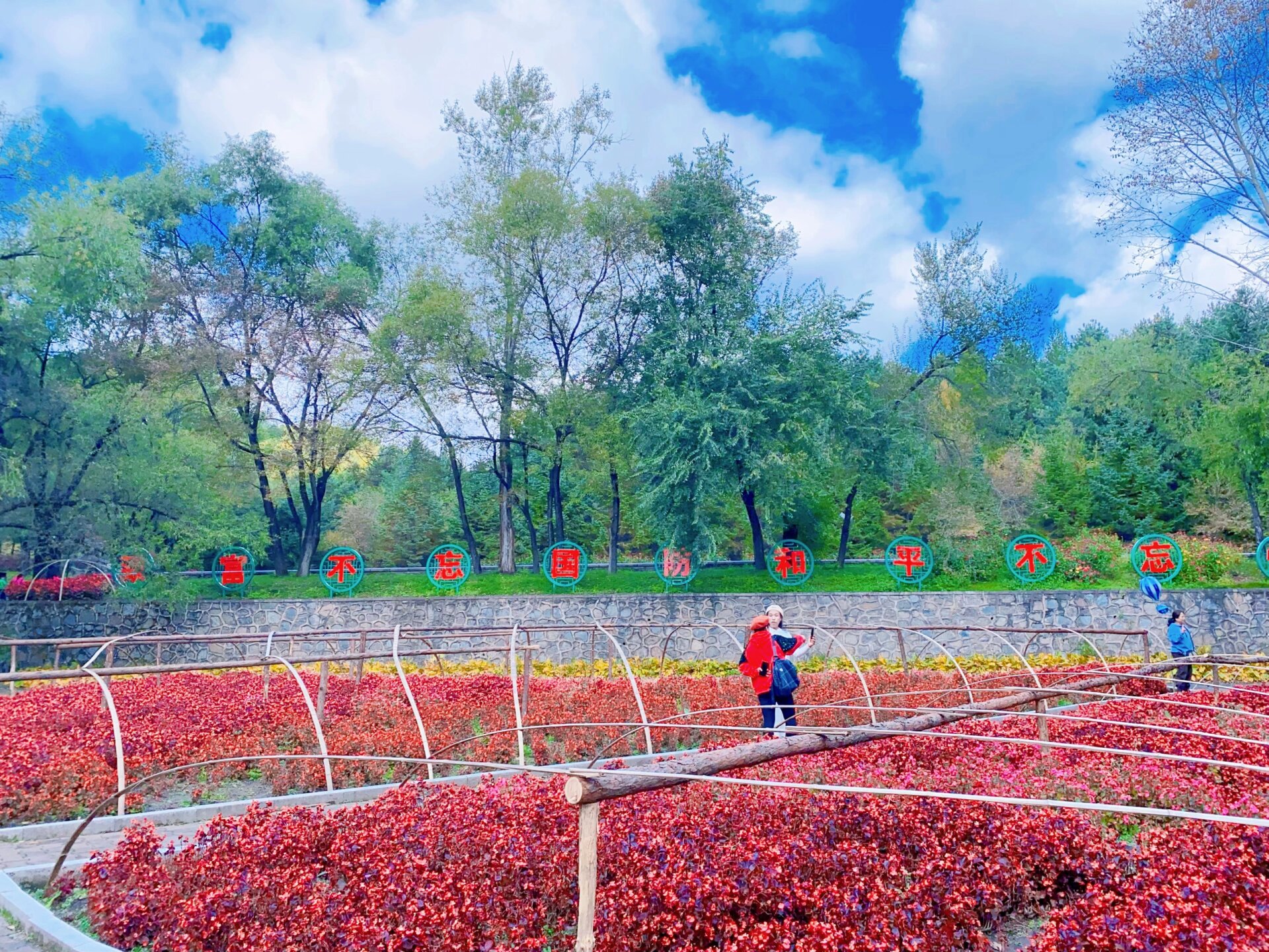 伊春北山公园景点简介图片