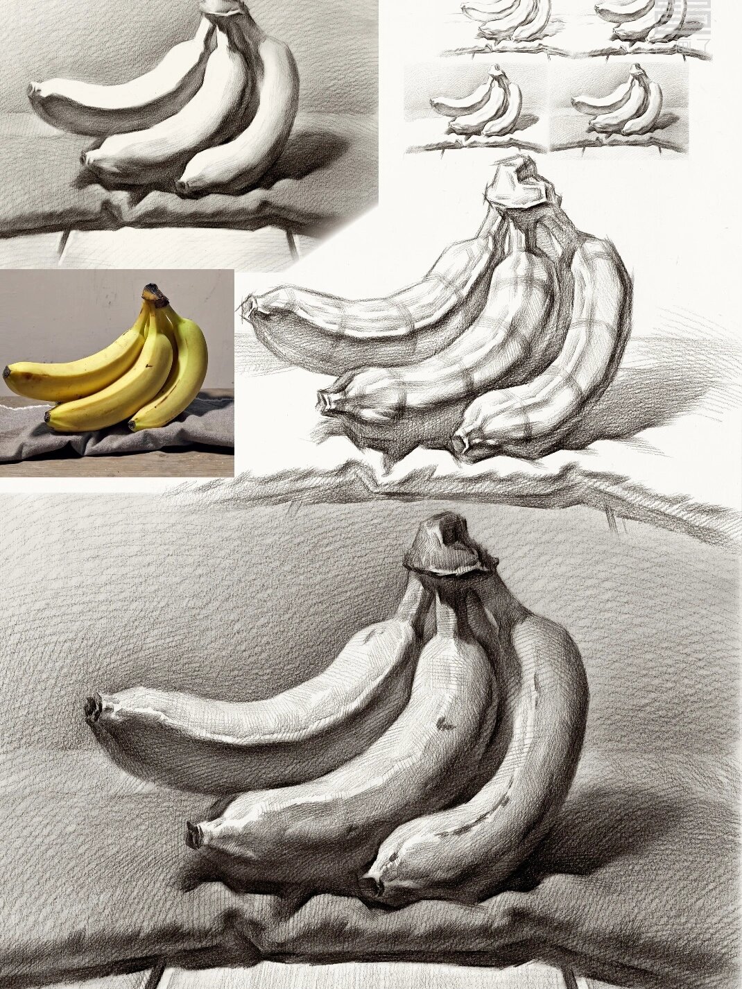 素描【蔬菜类的画法合集