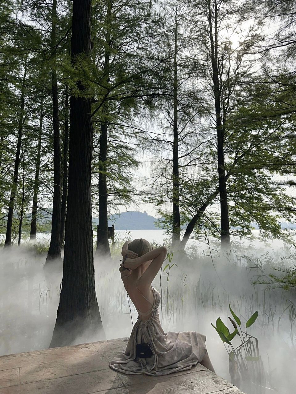 武汉东湖|九曲桥|小江南|pengtai 91:pengtai 99: wang 99:武汉