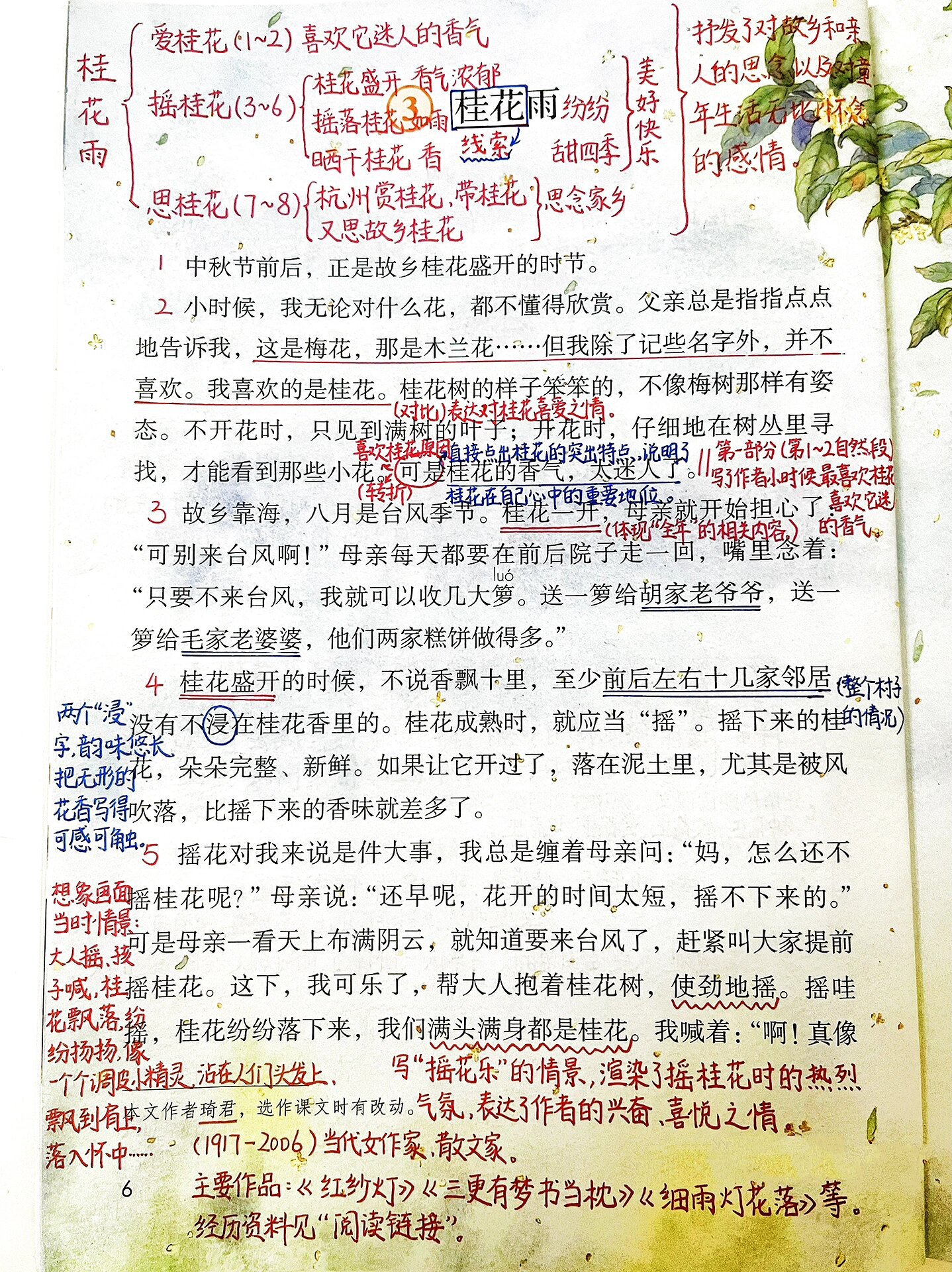 语文五年级上册第3课《桂花雨》课本笔记