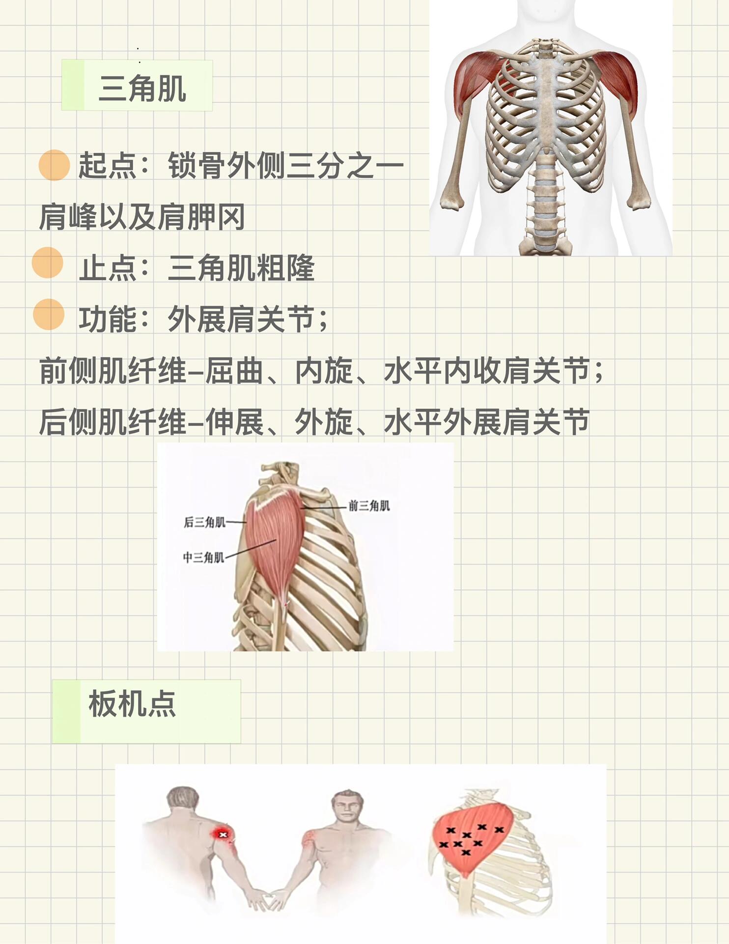 量肤定制：解锁护肤新世界