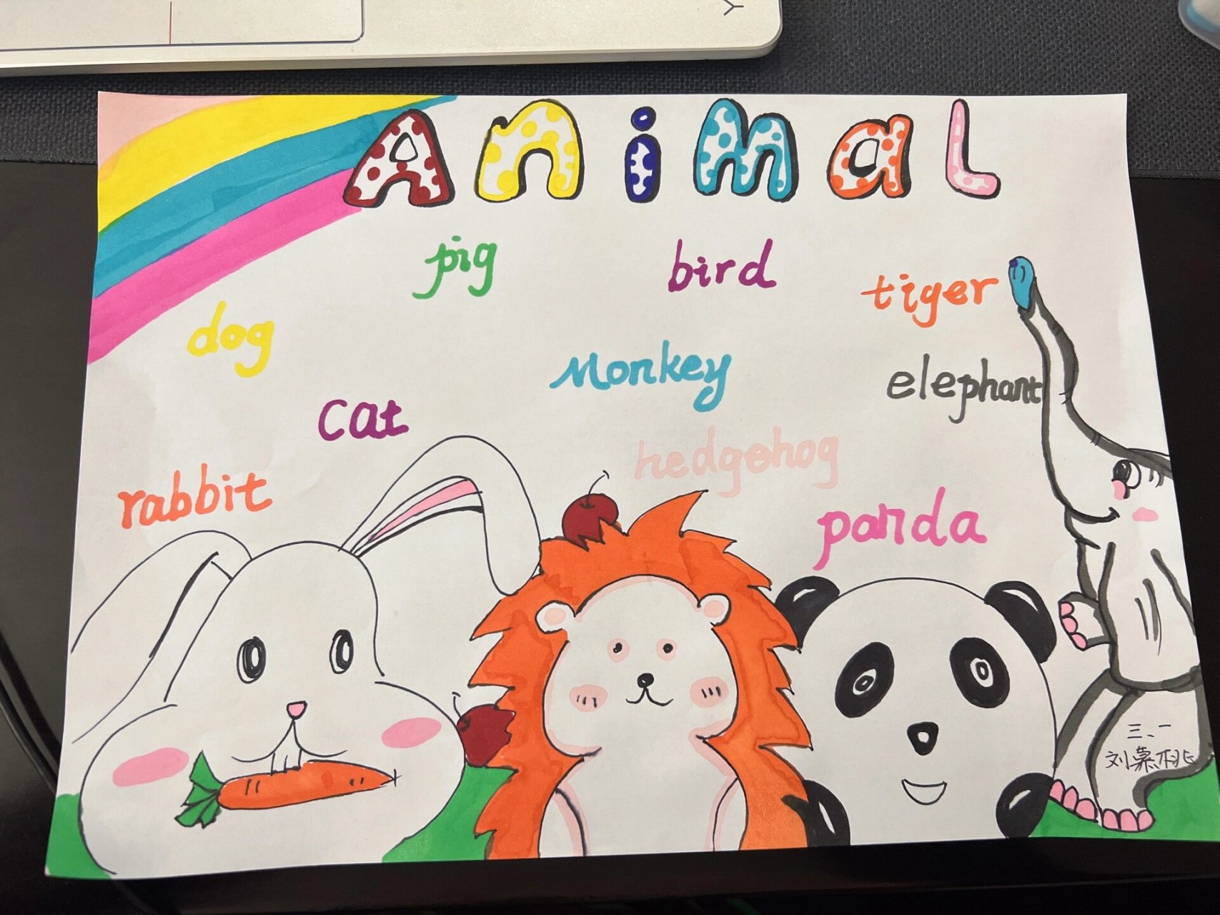 三年级英语 动物手抄报 思维导图