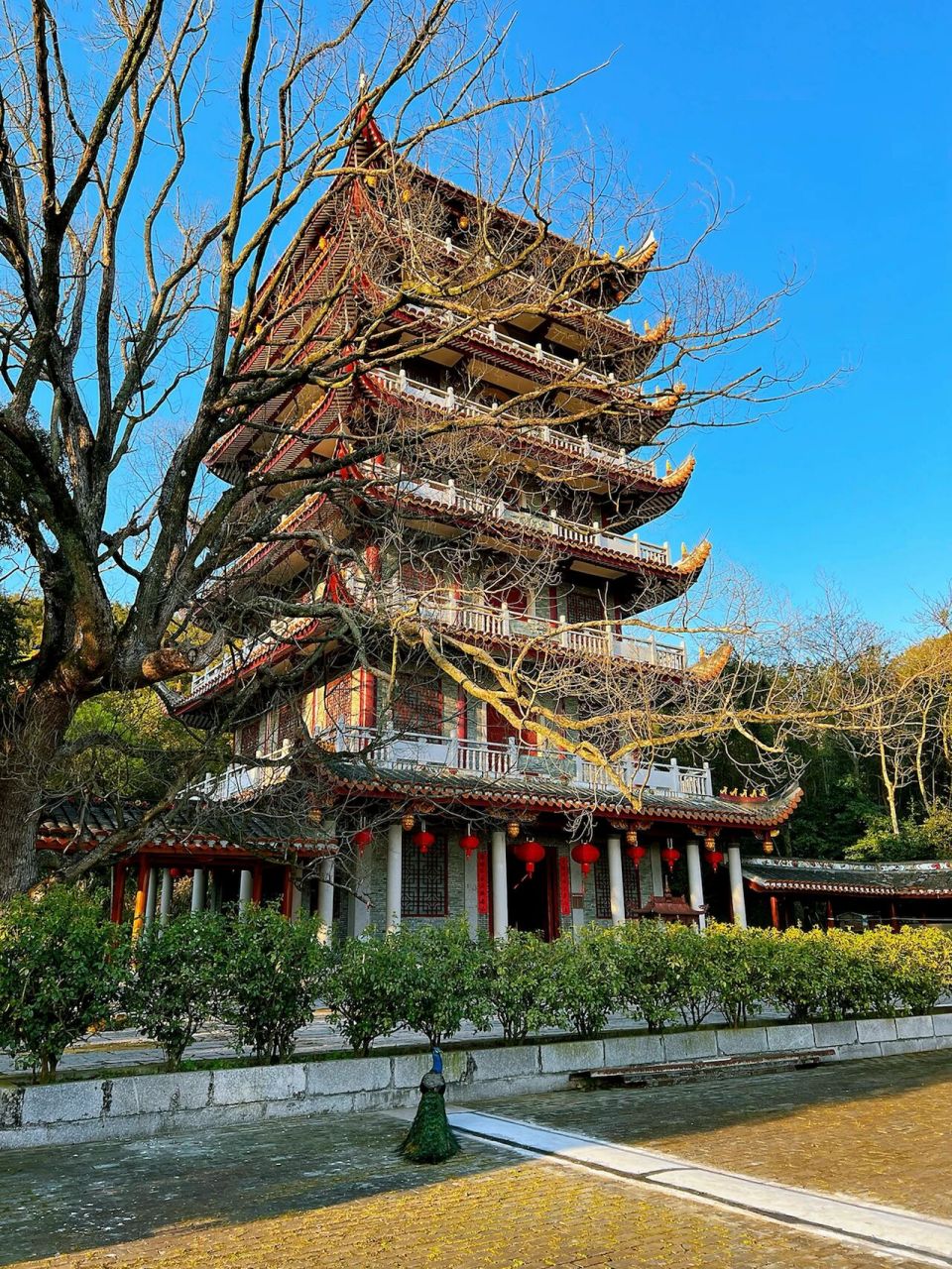 福州鼓山般若苑·鼓岭悬崖酒店 福州炎炎夏日非常值得的小众打卡地从