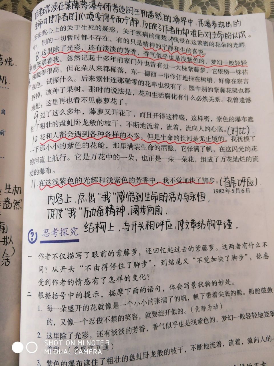 七下紫藤萝瀑布笔记 字写的不太好看