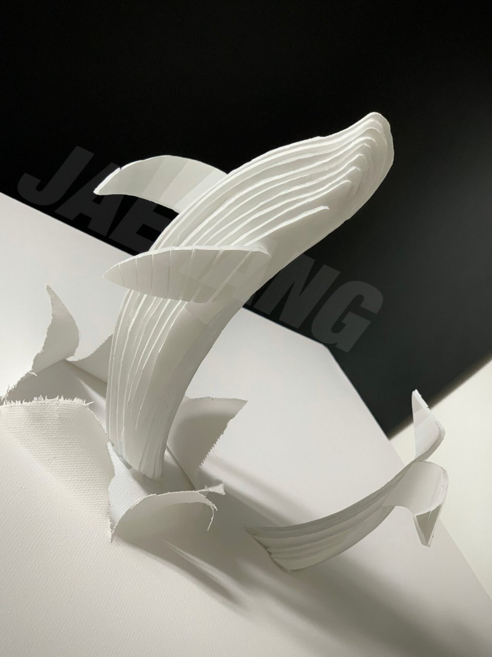 面的立体构成|《鲸跃》95 鲸总会给你带来一种特别的感觉 灵感:鲸鱼