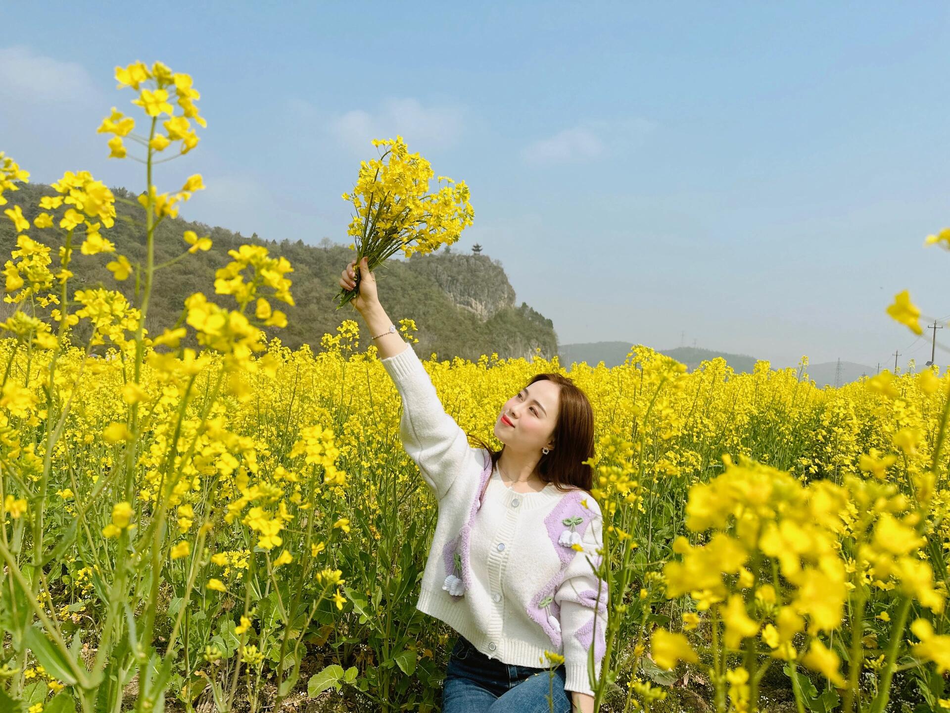 阳春三月油菜花图片