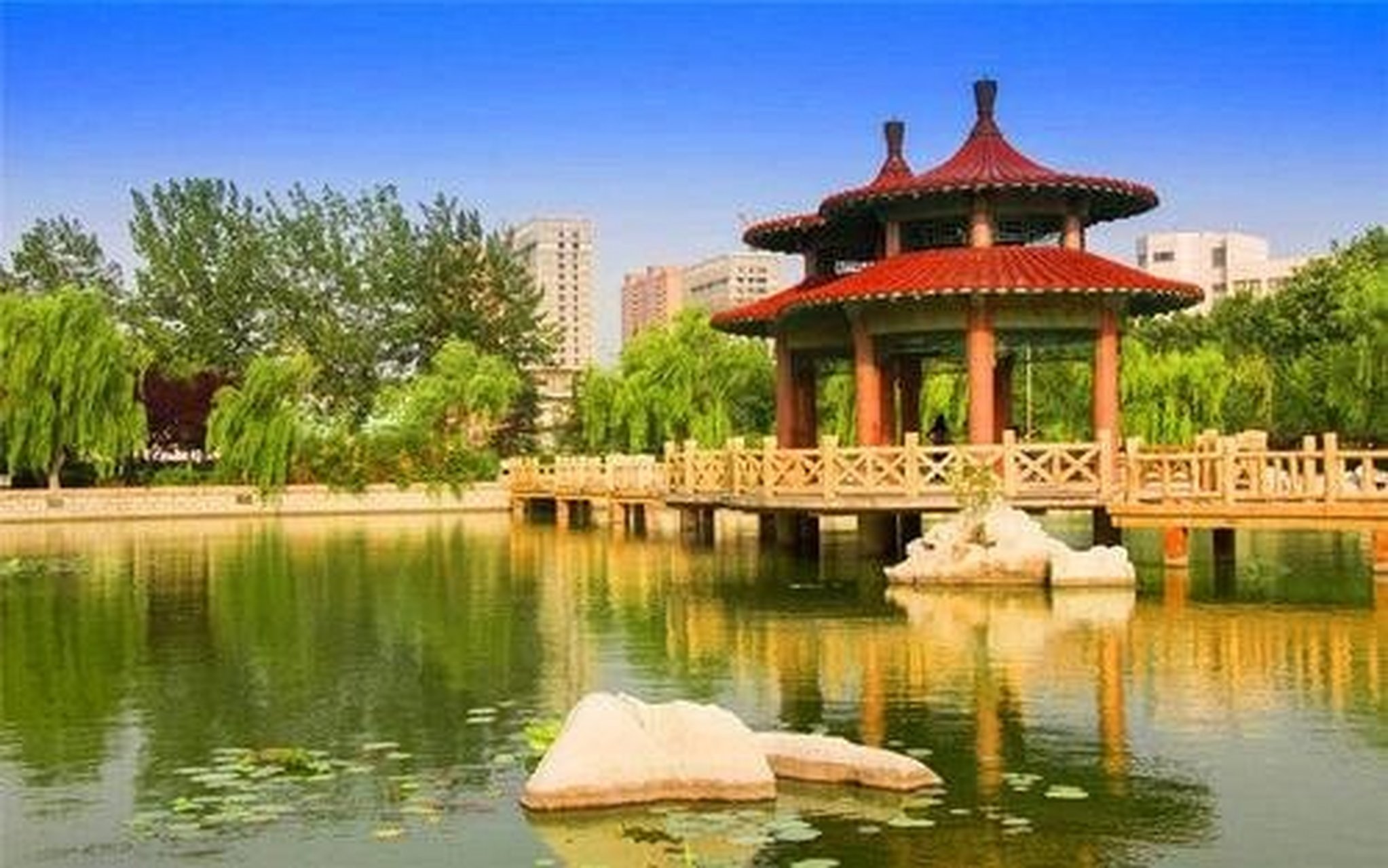 潍坊学院(weifang university),位于山东省潍坊市,是教育部批准建立的