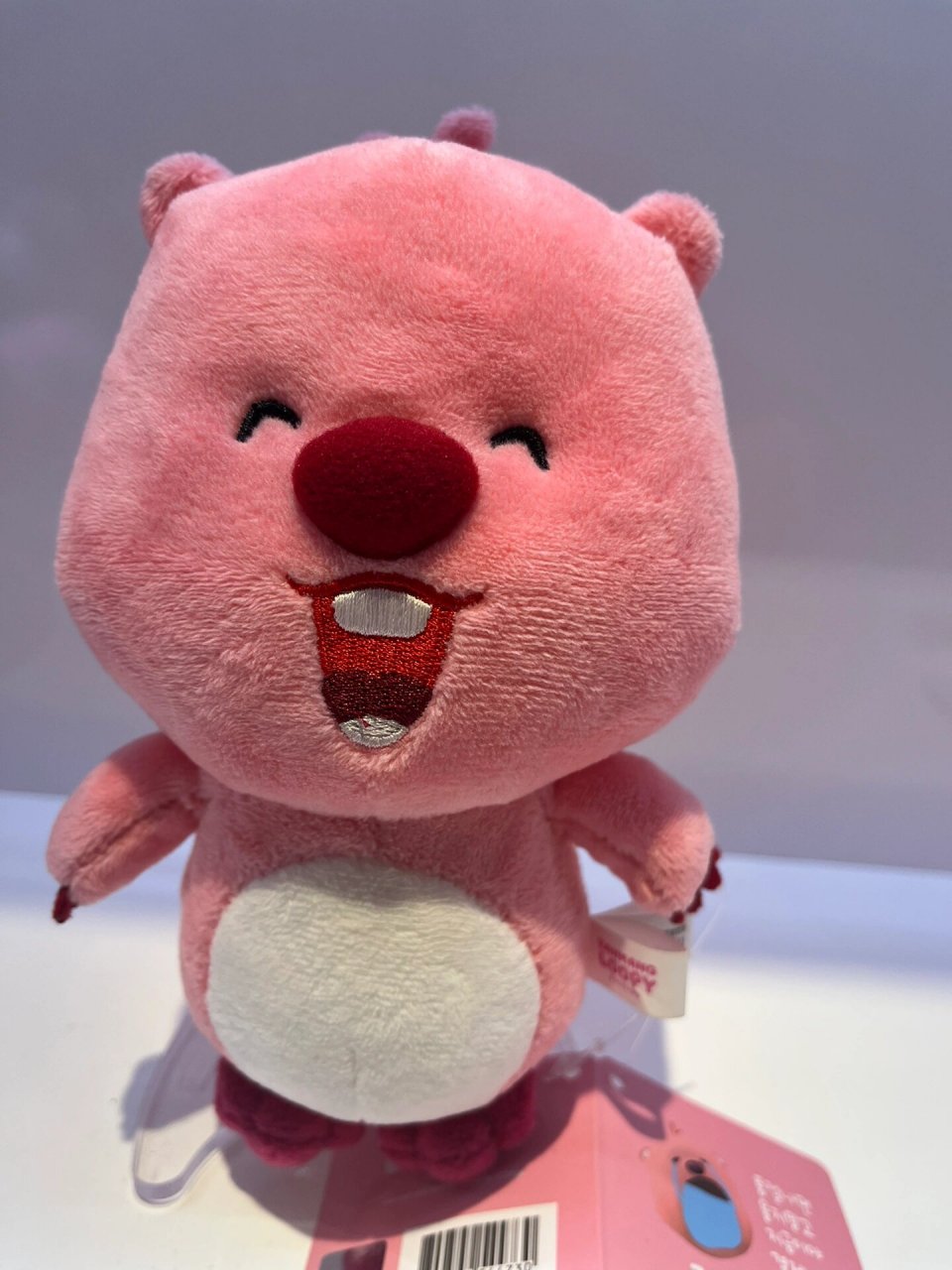 韩国本土特产的loopy小海狸露比 超级网红了 前几个月还没有太大感觉