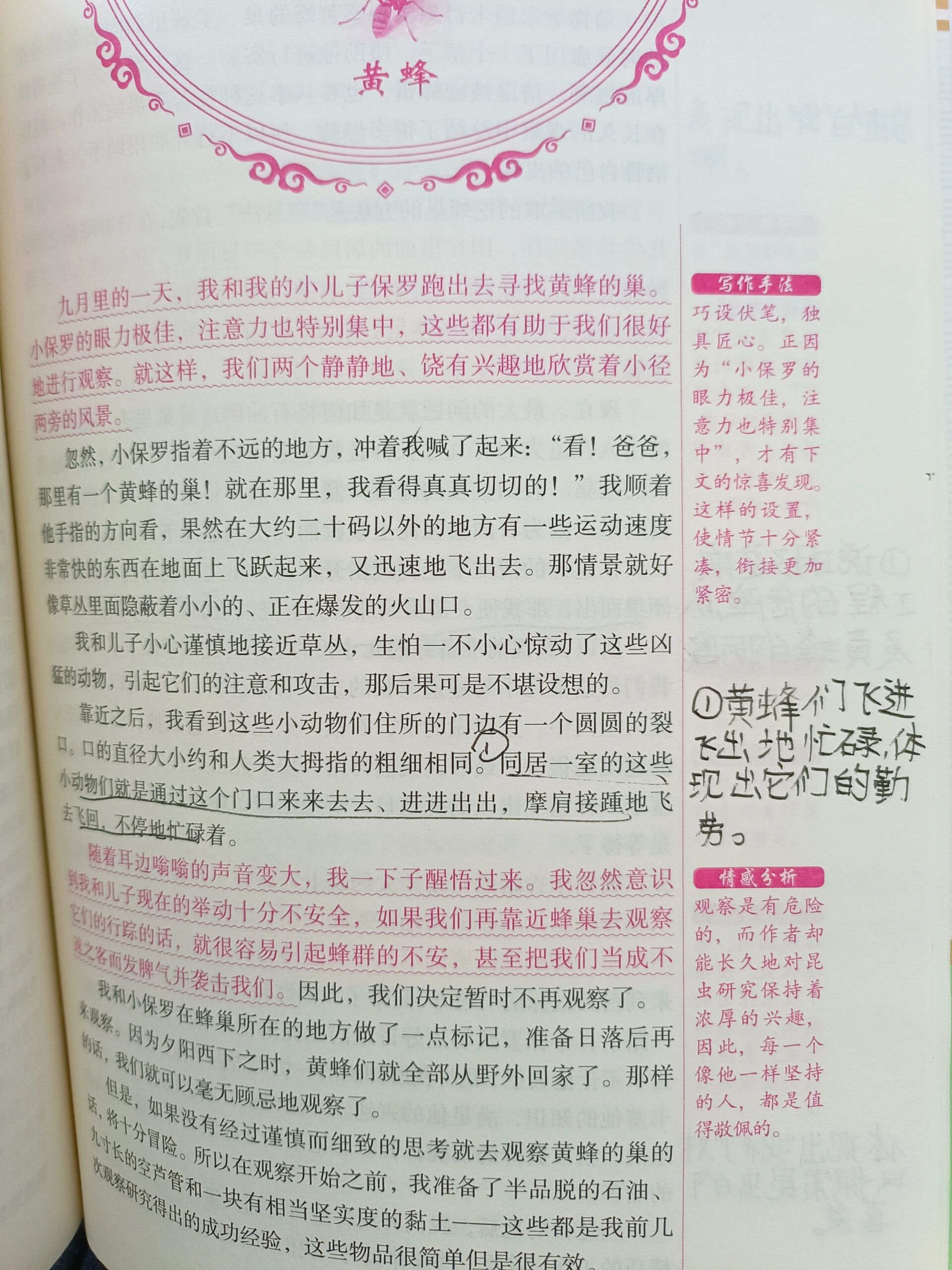 《昆虫记》第十九章黄蜂