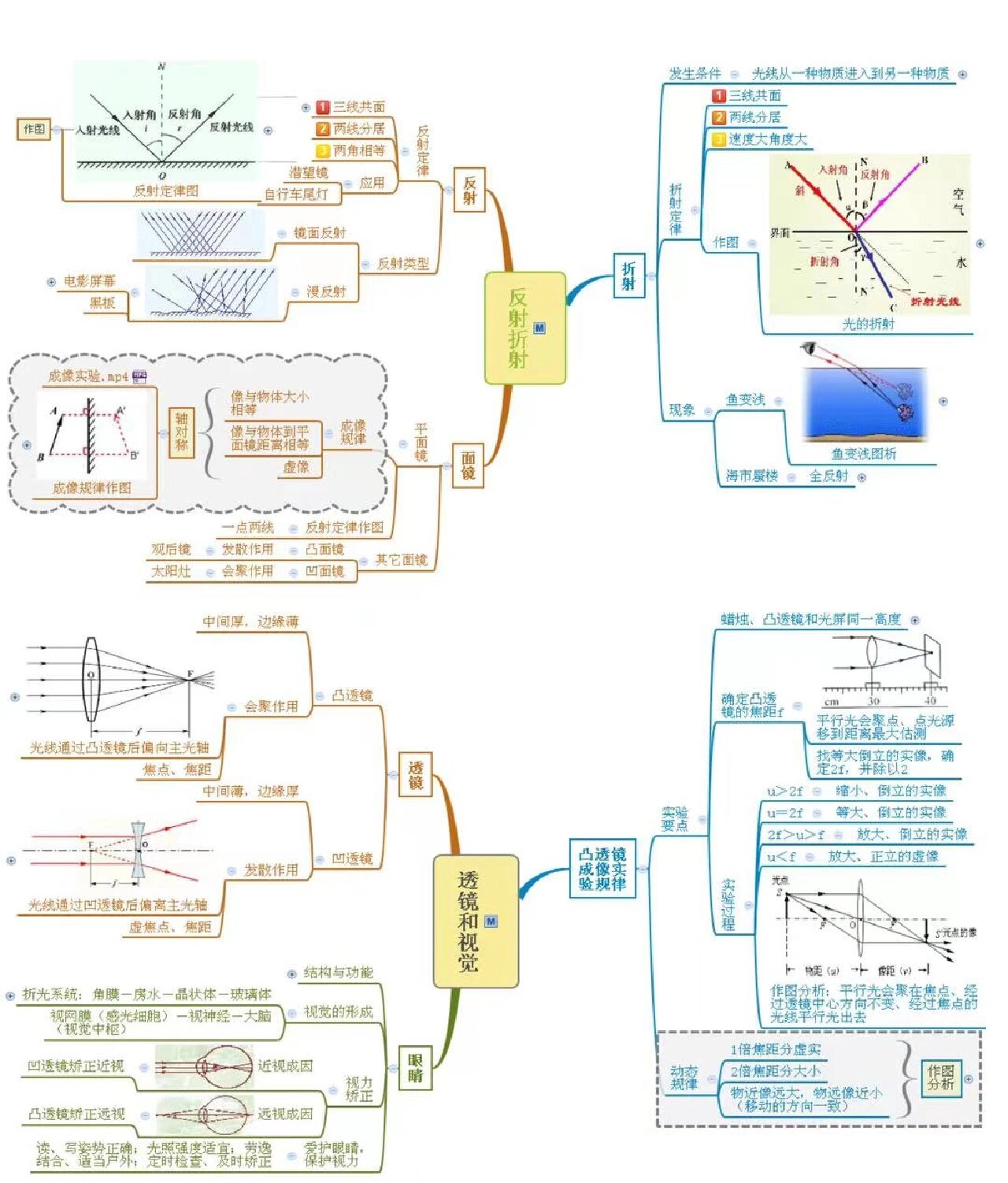 浙教版科学七年级下册第二章思维导图