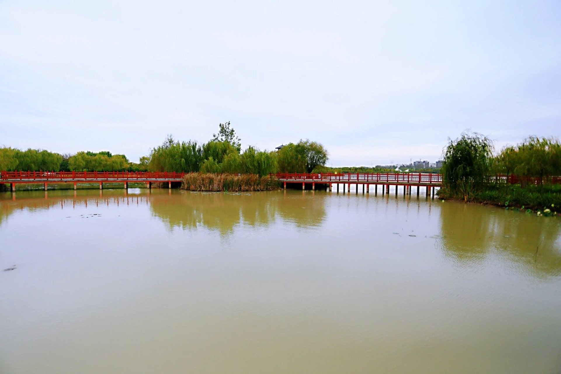黄龙湿地公园,临颍县城里的自然风景线 黄龙湿地公园位于漯河市临颍县