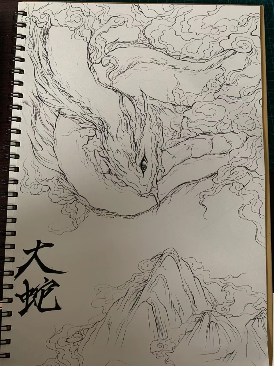 山海经手绘合集 龙🐉蛇类 打卡100     有参考临摹   这几位博主