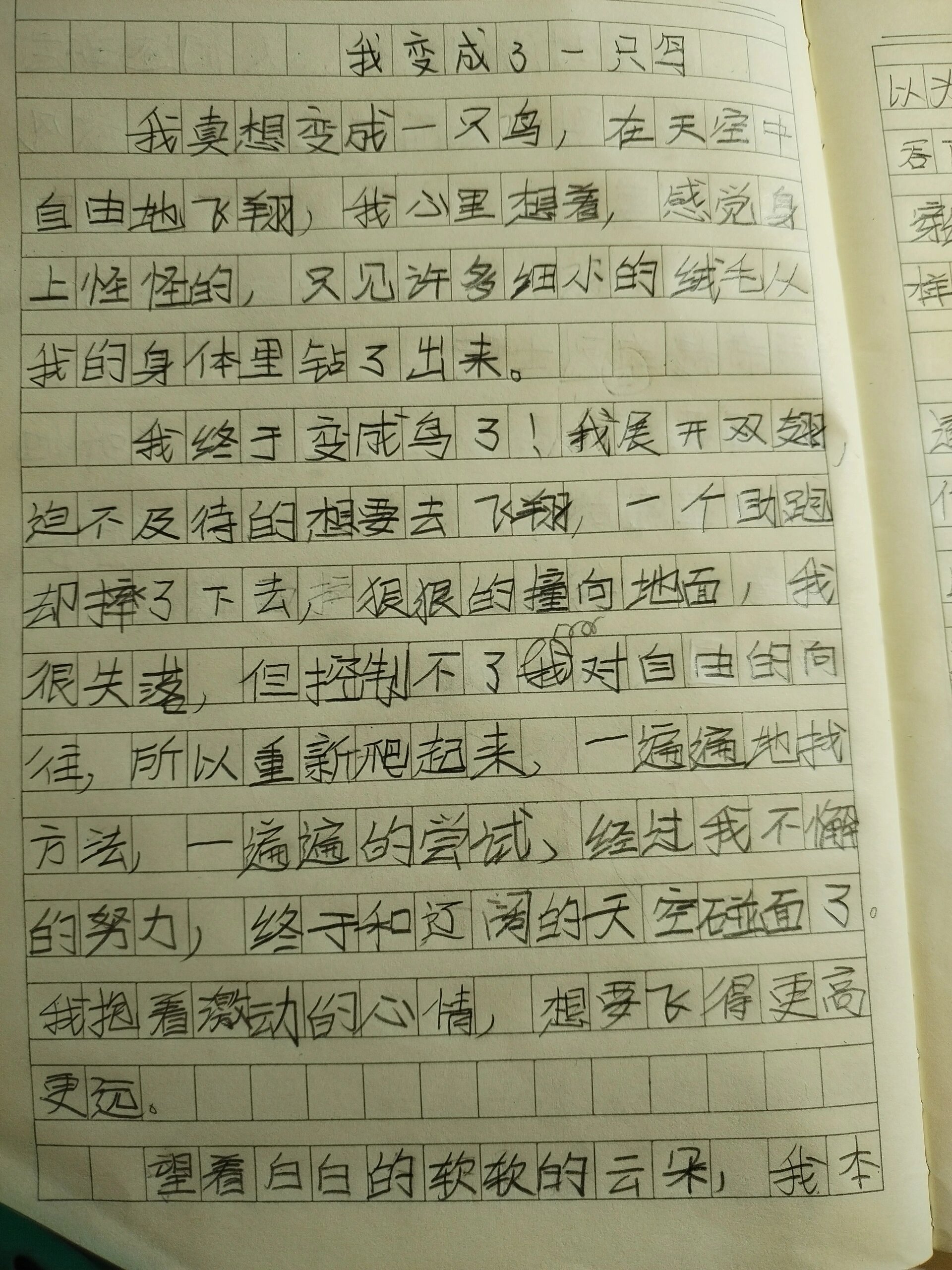 三年级作文,我变成了一只鸟