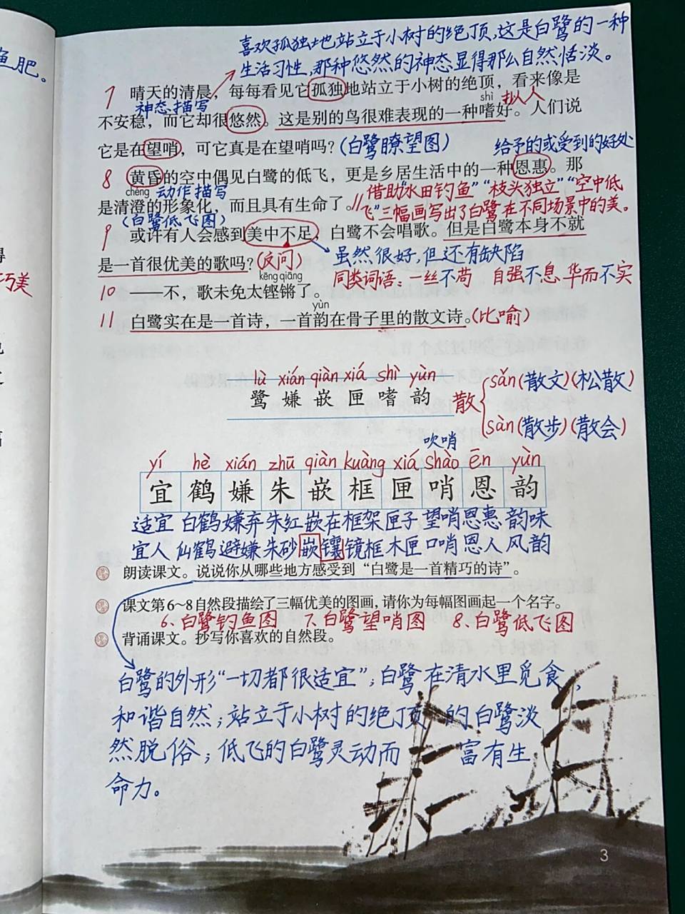 部编版五年级上册语文 第1课 白鹭 课堂笔记