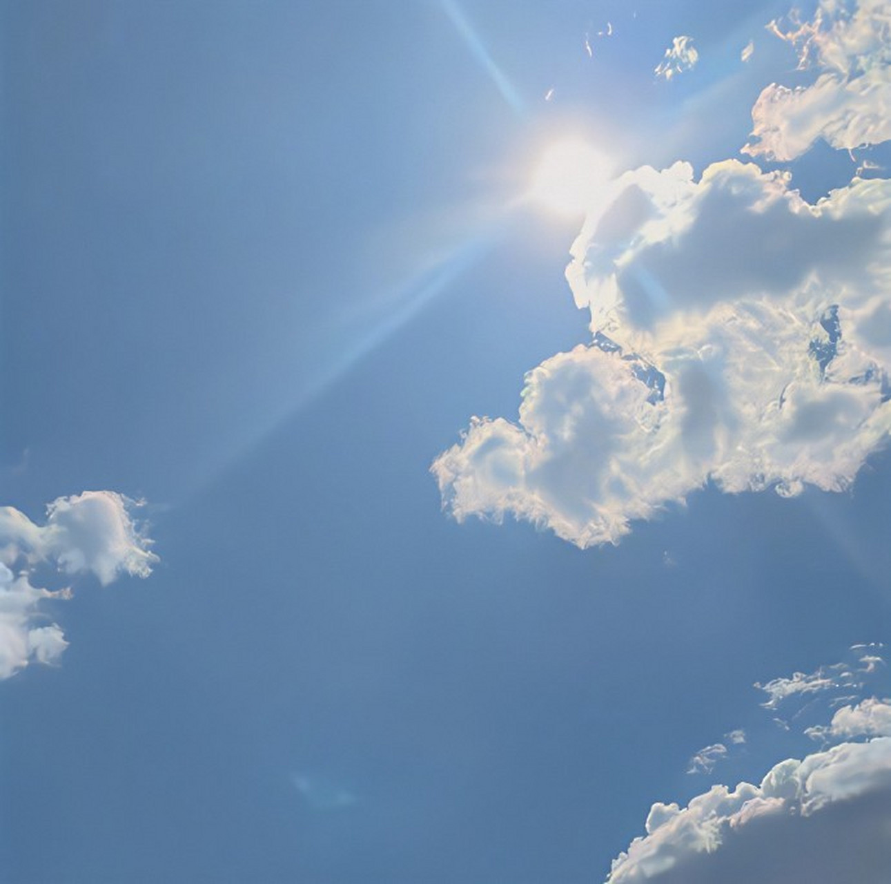 " 今天的太阳比容嬷嬷的针还毒 " [太阳]   #文案# #朋友圈文案