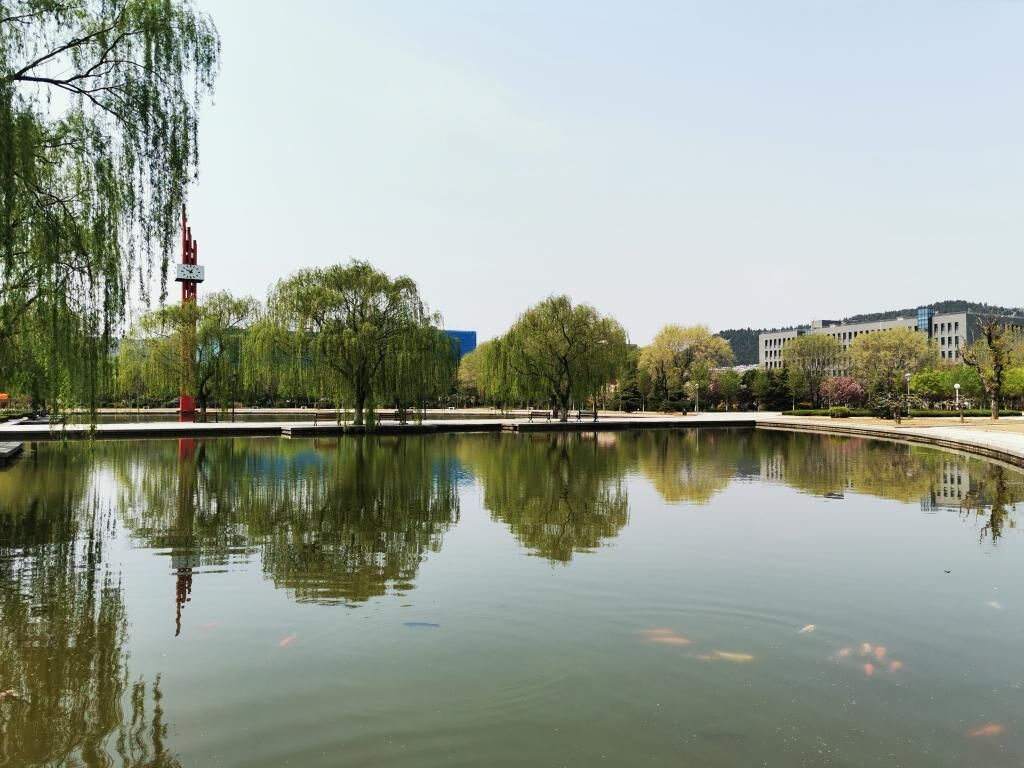 春考院校巡航第6站山东管理学院招生专业  1 官网管院 山东管理学院