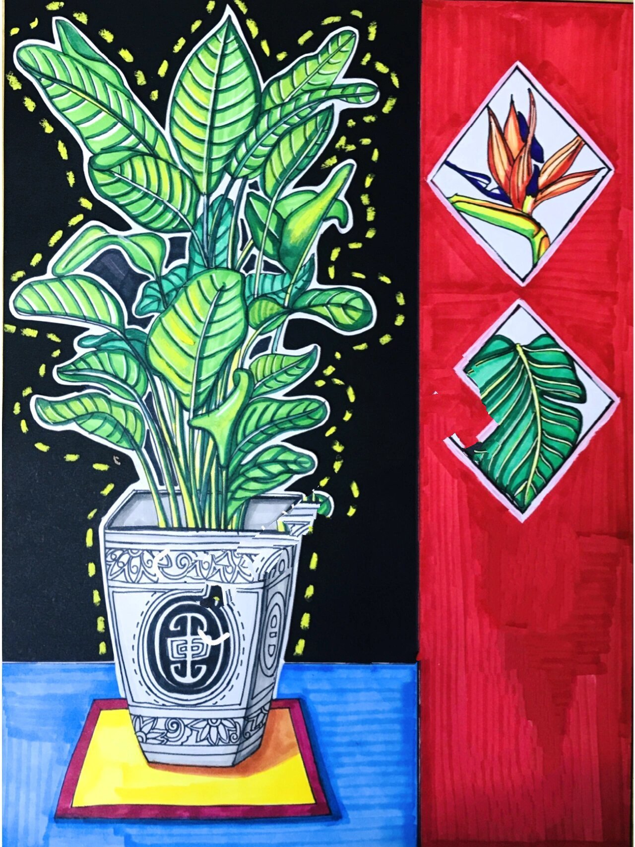 2年级《天堂鸟》