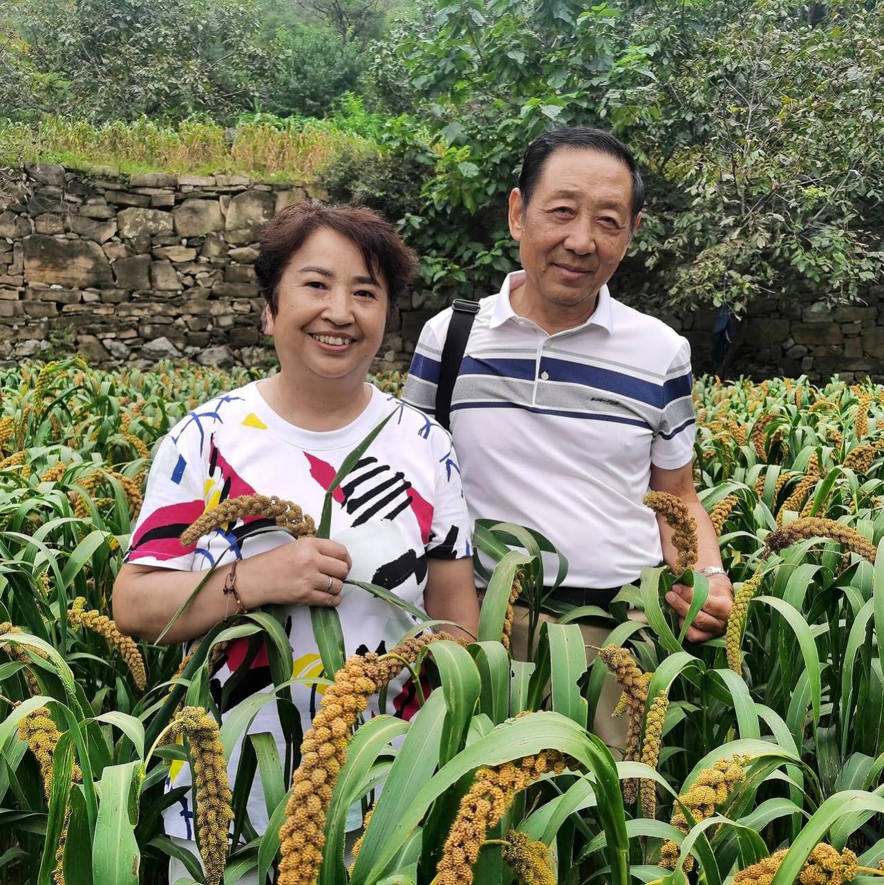 旺夫的山西女人        当年河南一帅小伙,自从找了这个山西媳妇后,成