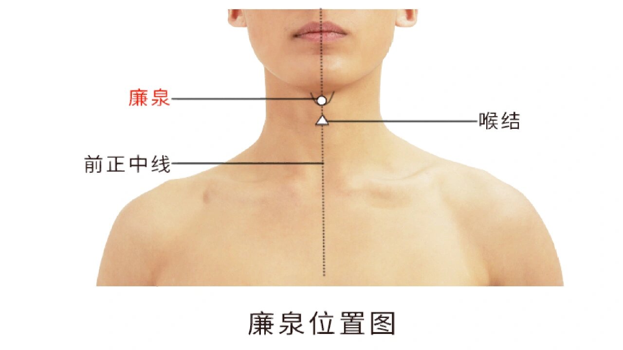 左右夹廉泉定位图片