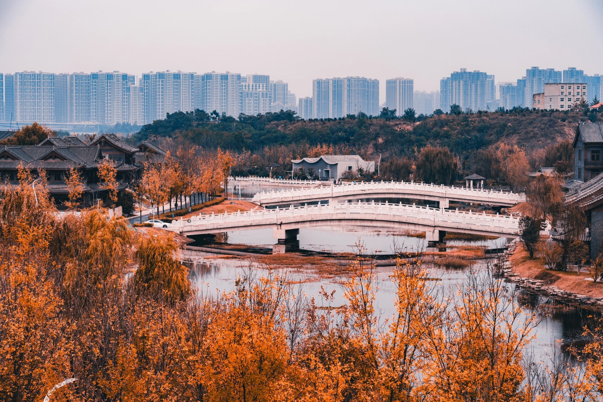 贾鲁河明伦岛游记:一场穿越千年的秋 在郑州的明伦岛,仿佛穿越了千年