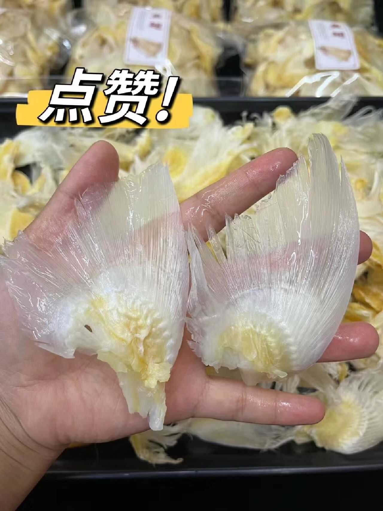 小鱼翅 一斤一包300元 煲汤补钙健康食材;鱼翅的鲜香,干净,无沙,煲汤