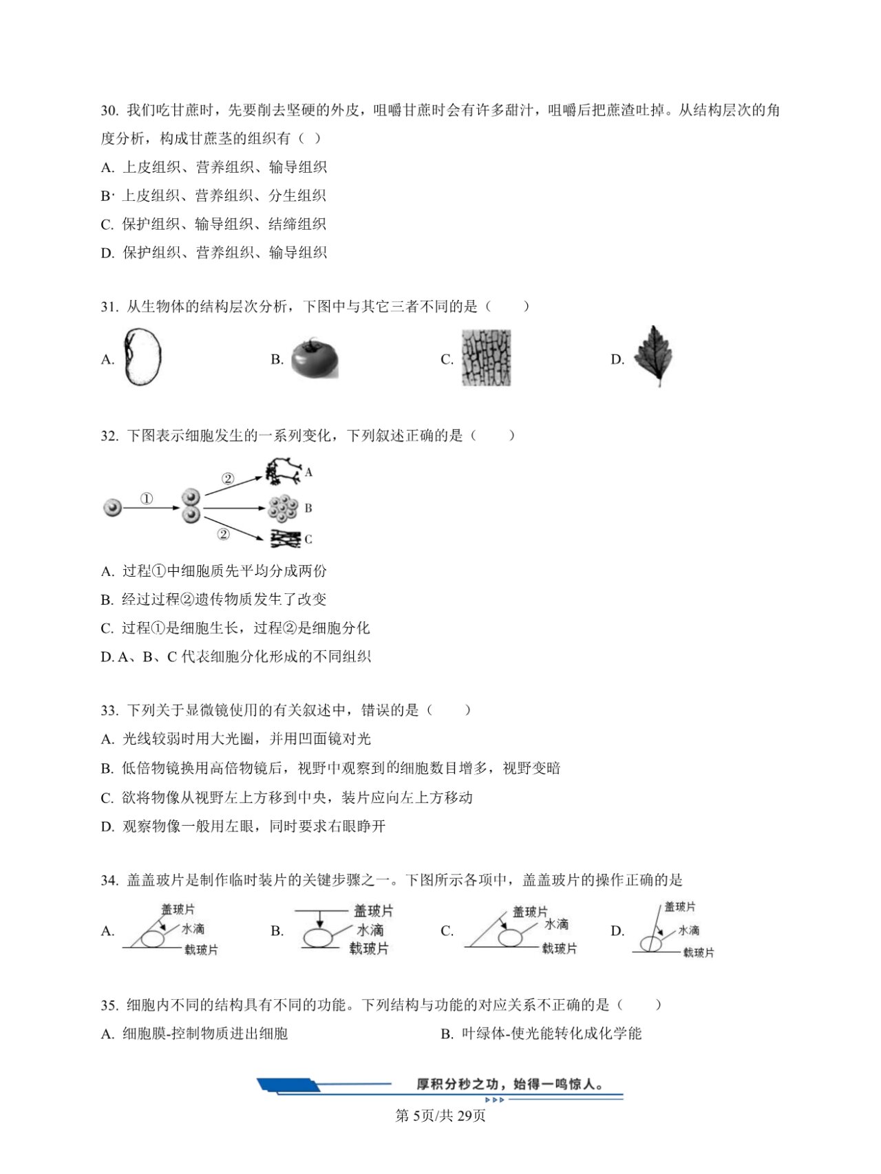 99七年级上册生物期末考试测试卷