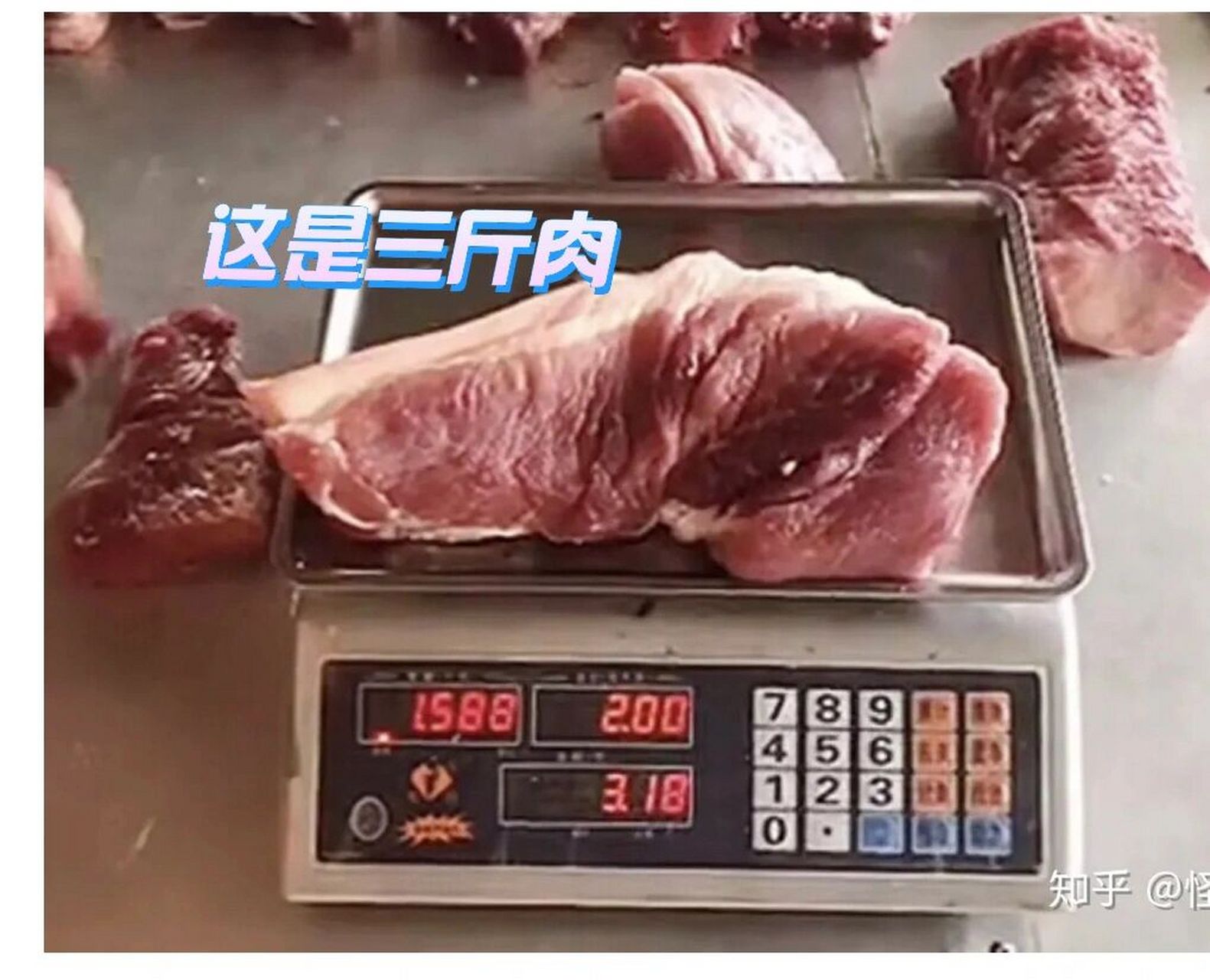 一斤猪肉有多大一块图片