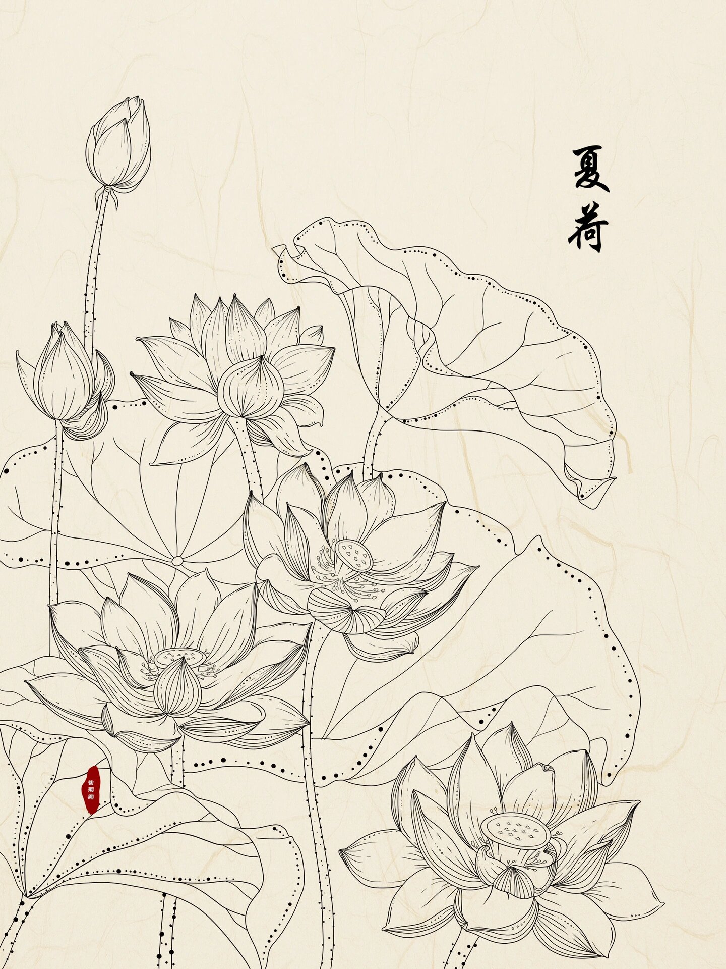 荷花线稿
