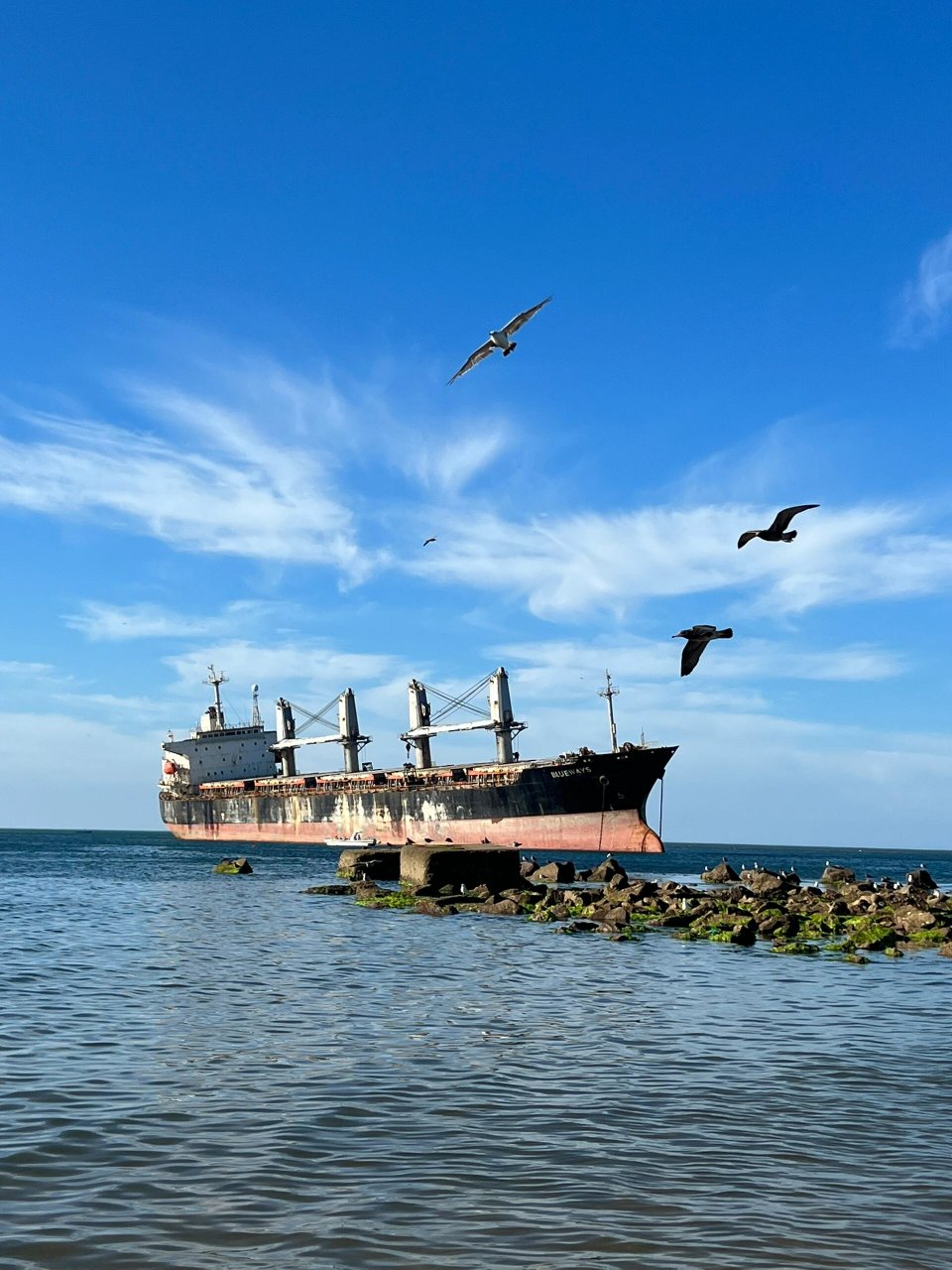 威海|08搁浅巨轮布鲁威斯号& 96粉红沙滩 搁浅的巨轮,听说之后要